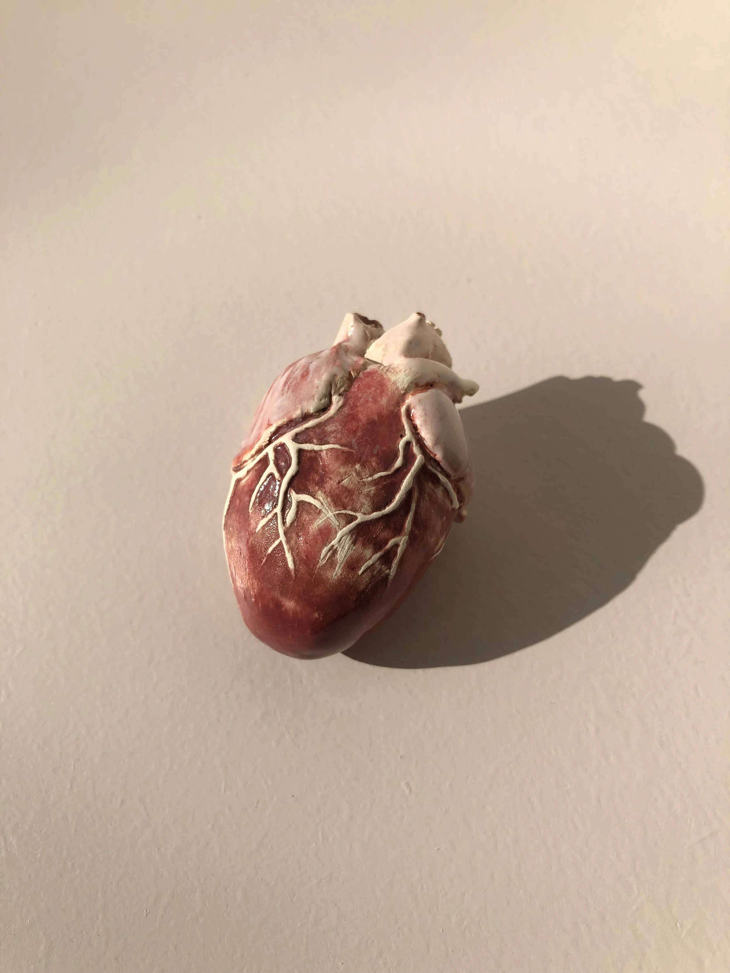 A realistic-looking model of a human heart with detailed veins, casting a shadow on a plain surface.