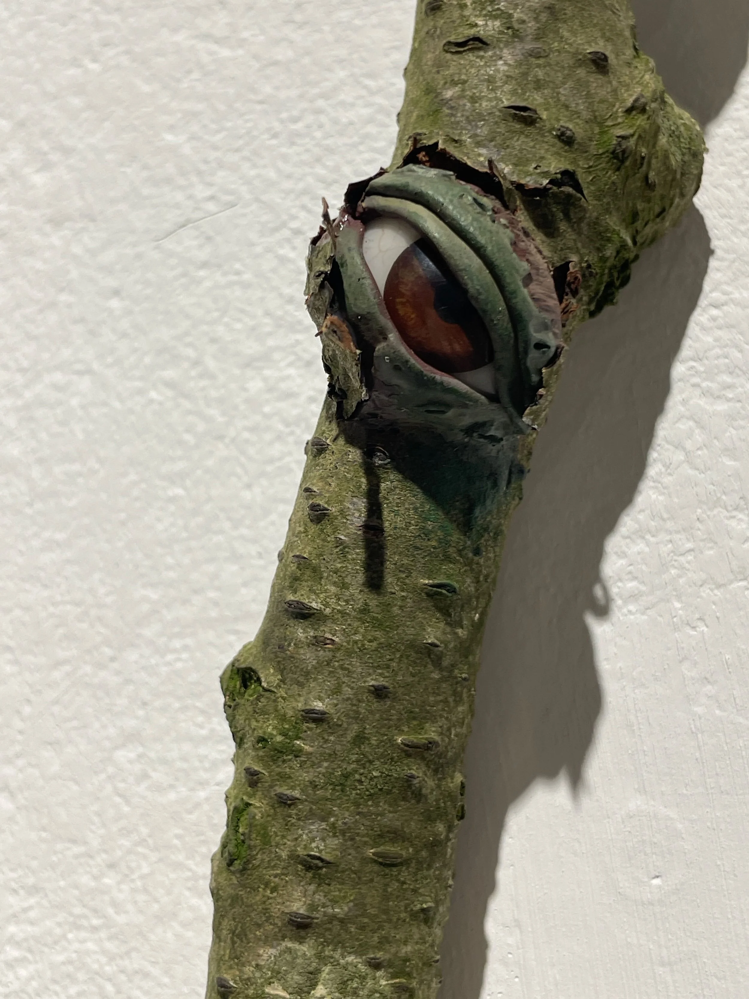 A tree branch with a large, realistic-looking eye attached to it.