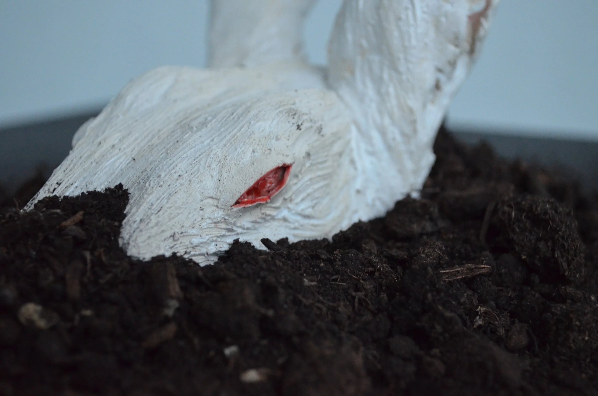 Close-up of a white ceramic rabbit head resting on dark soil, with a red eye and textured fur details.