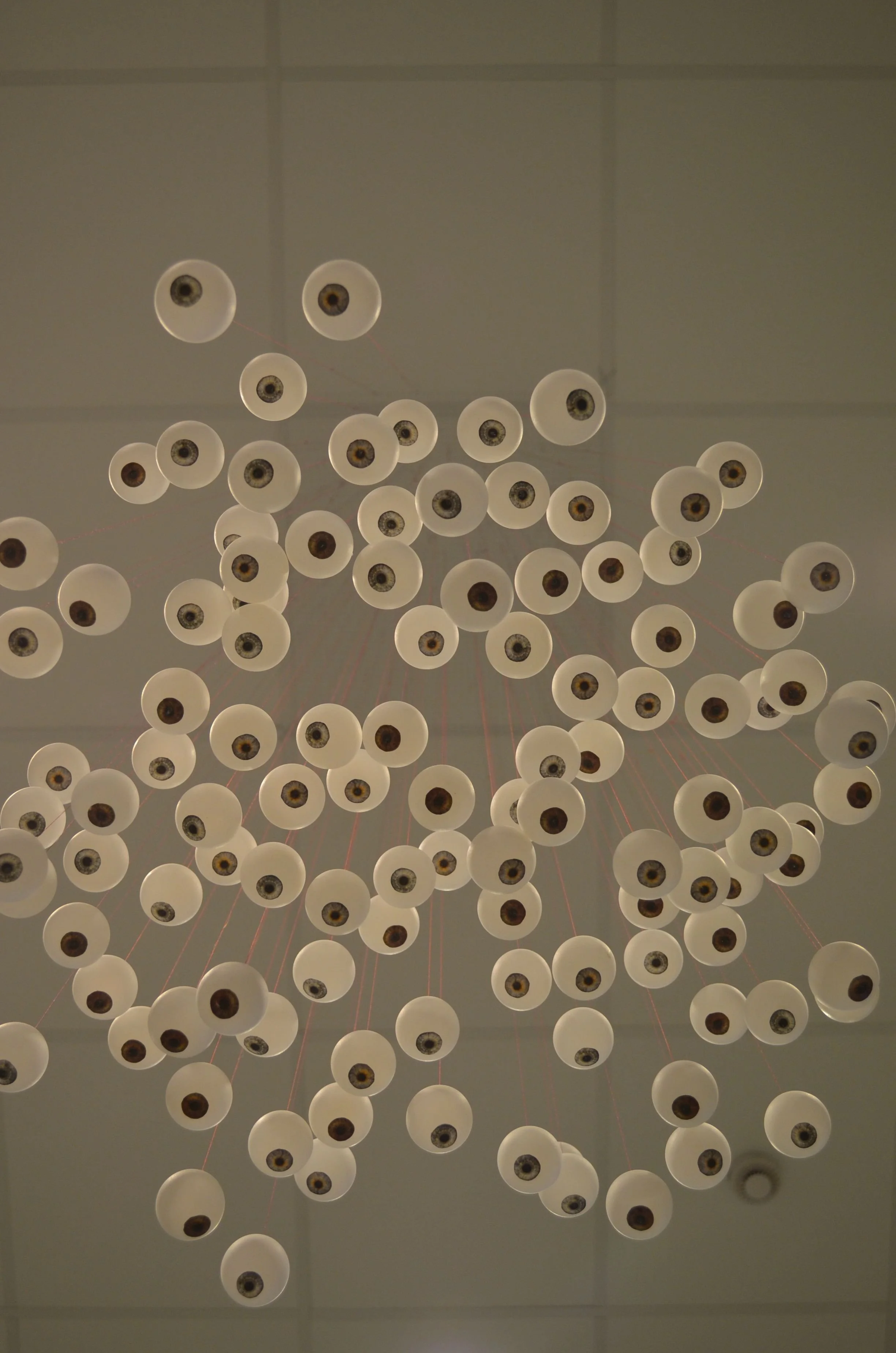 Ceiling light fixture with multiple spherical shades, each containing a visible light bulb, viewed from below.