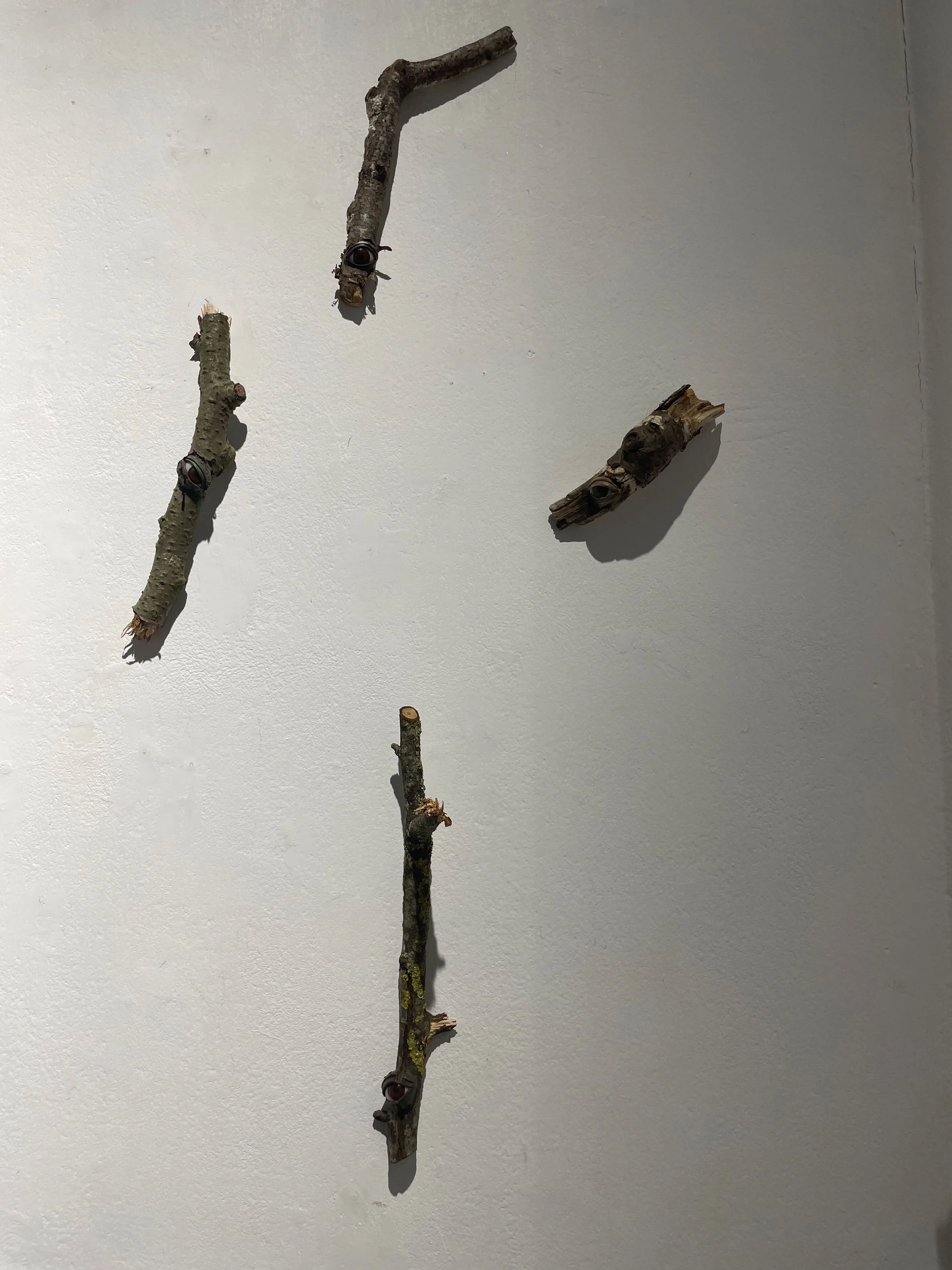 Four small tree branches mounted on a white wall.
