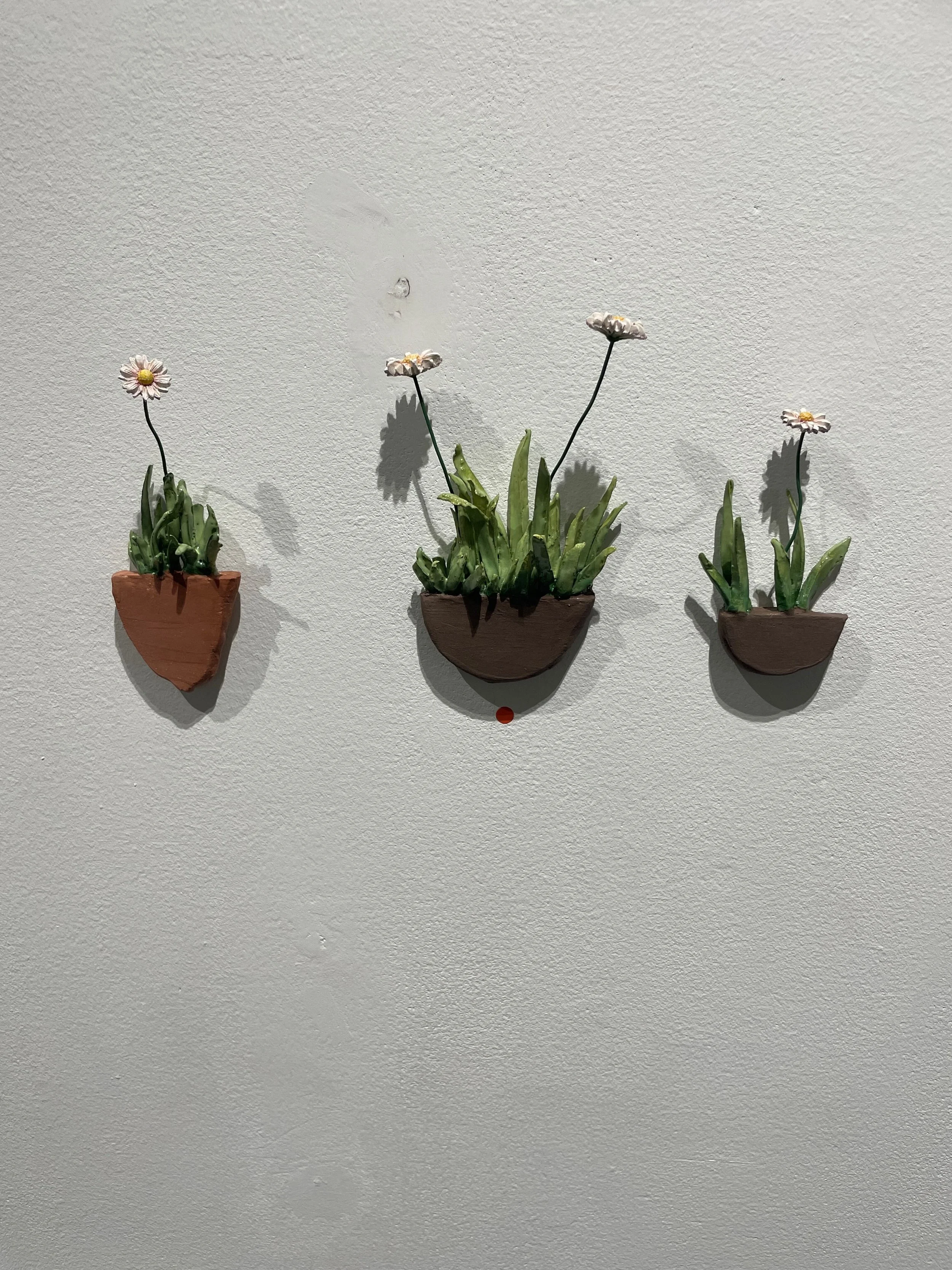 Three terracotta flower pots with green plants and white daisies mounted on a plain white wall.