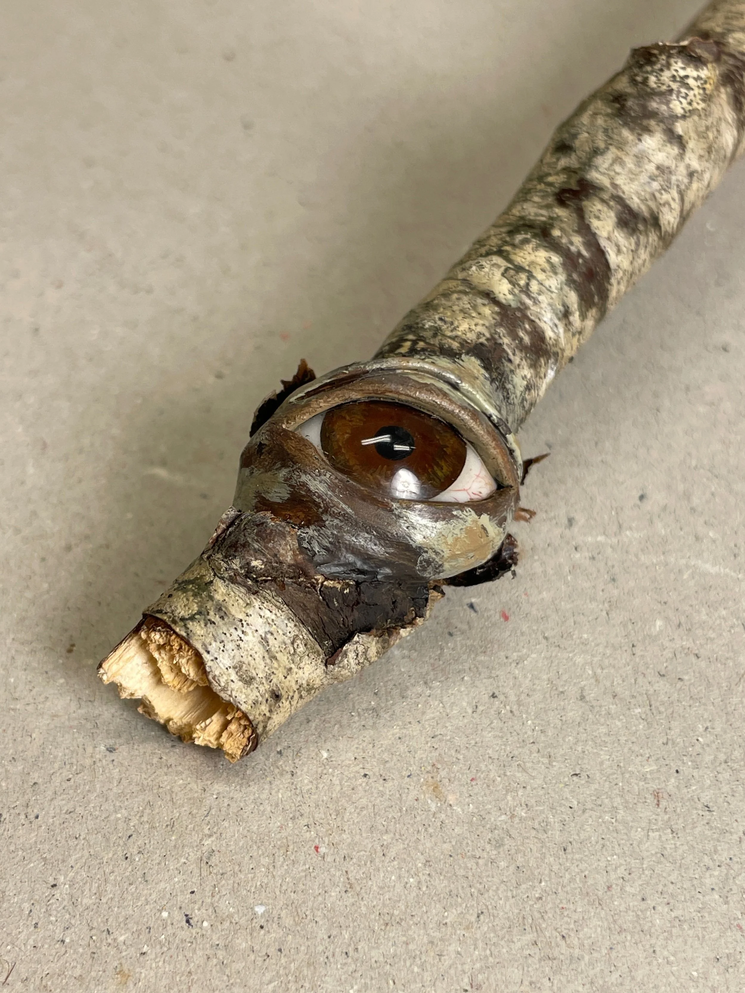 A tree branch with an artificial eye attached to it, placed on a plain surface.