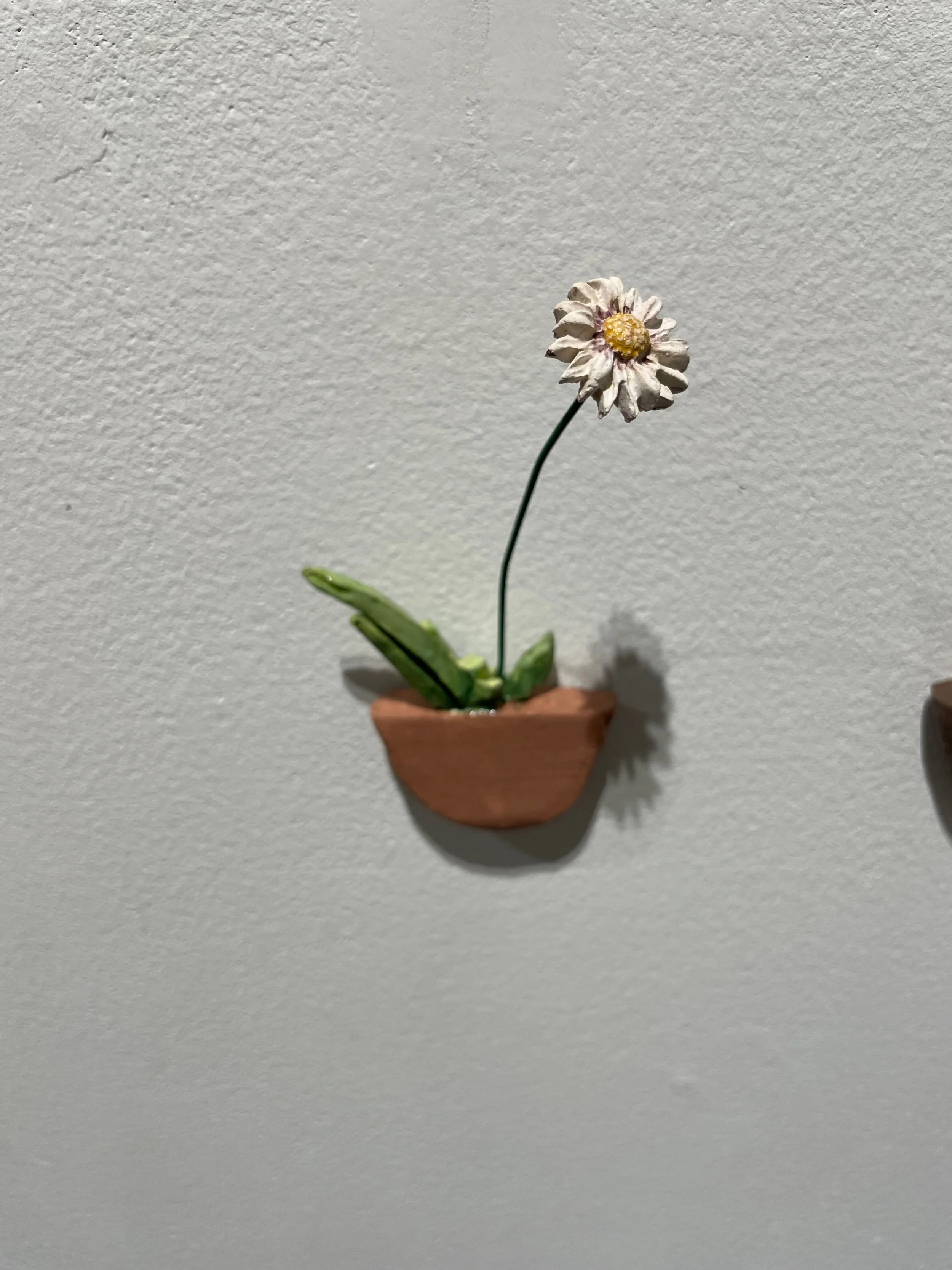 What grows will grow #8