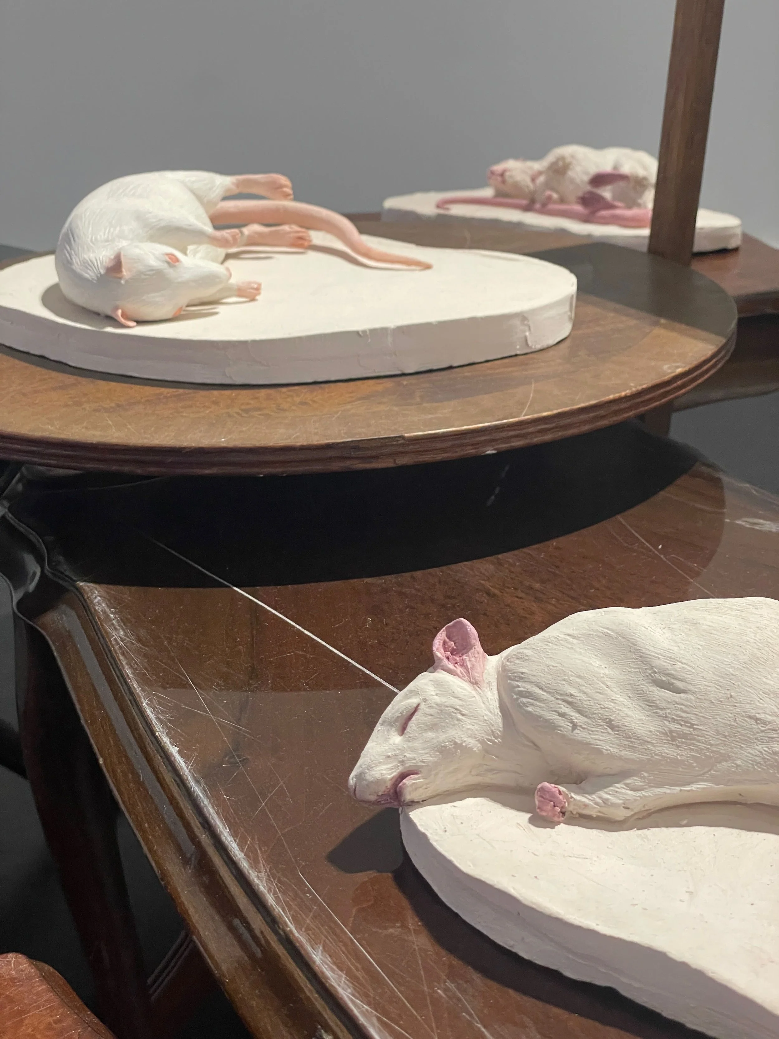 Multiple artistic sculptures of deceased mice laid on white oval-shaped platforms, displayed on a wooden table.