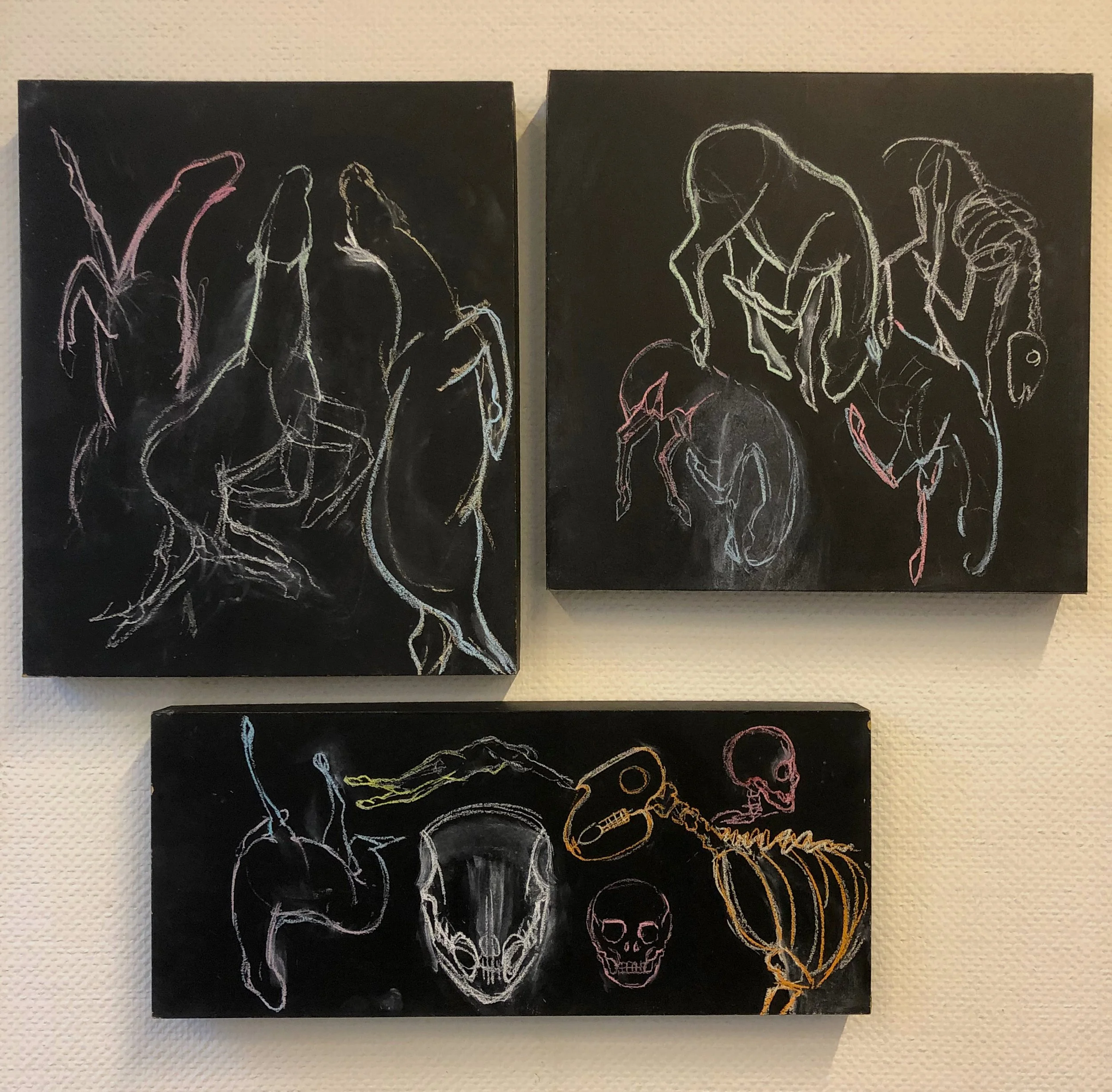 Three black canvases with colorful chalk drawings of animal and human skeletons and skulls, arranged in a triangle on a white wall.