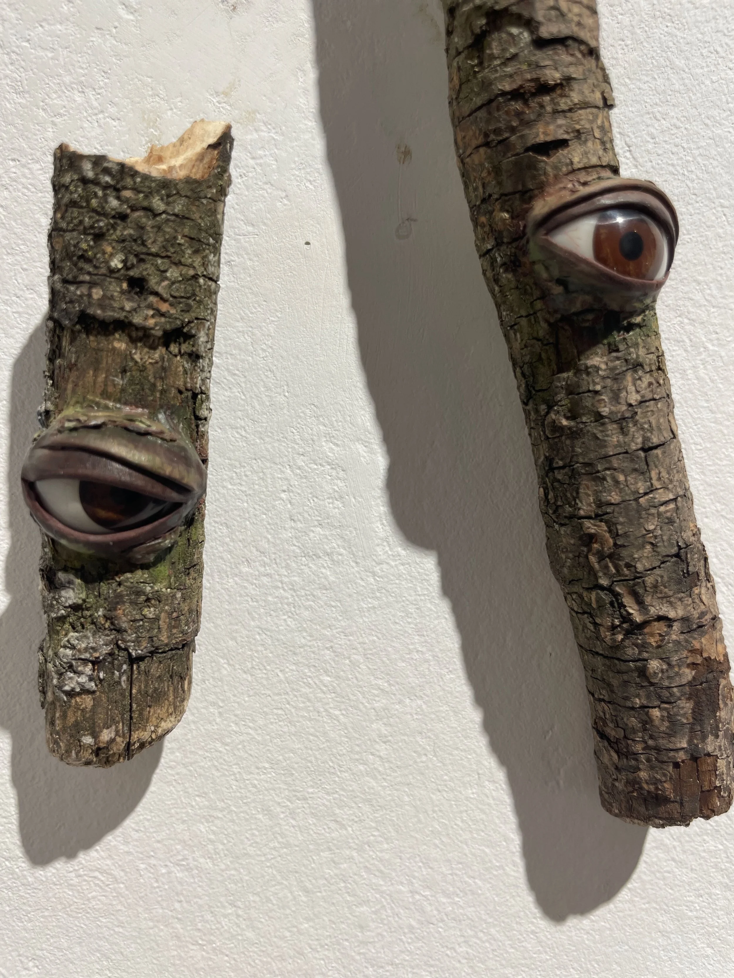 Two pieces of bark with large, realistic eyes attached, creating a whimsical face on a white wall.