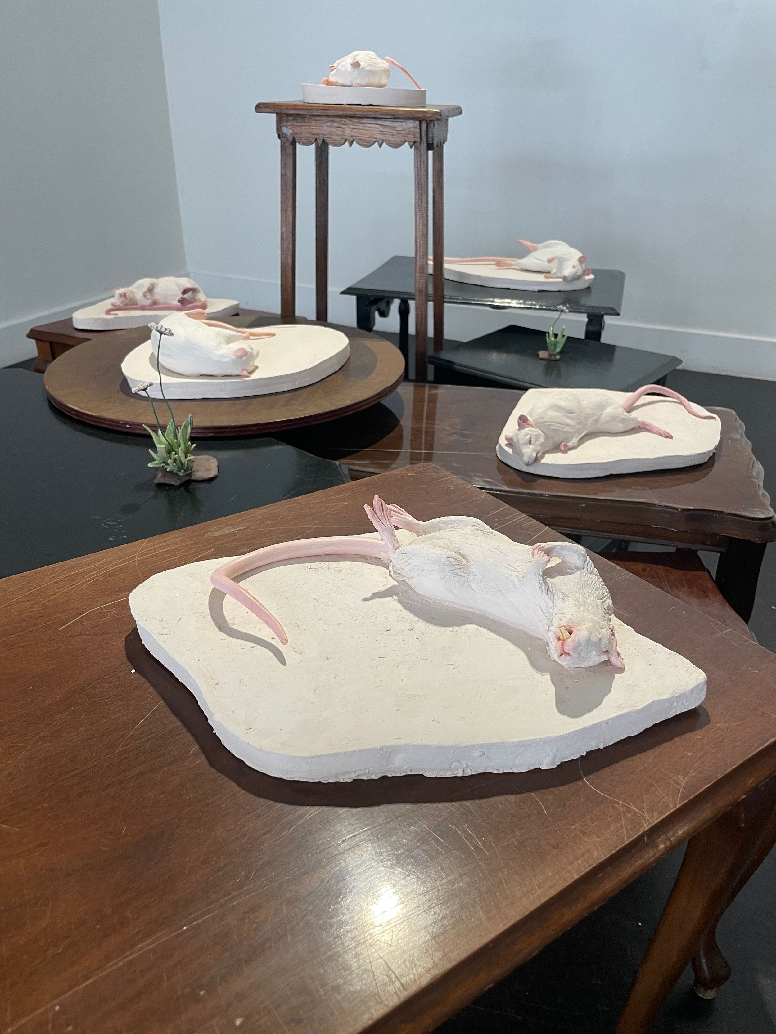 Art installation of multiple white mice sculptures in various poses on wooden and black display surfaces, with small plants, arranged in a gallery setting.