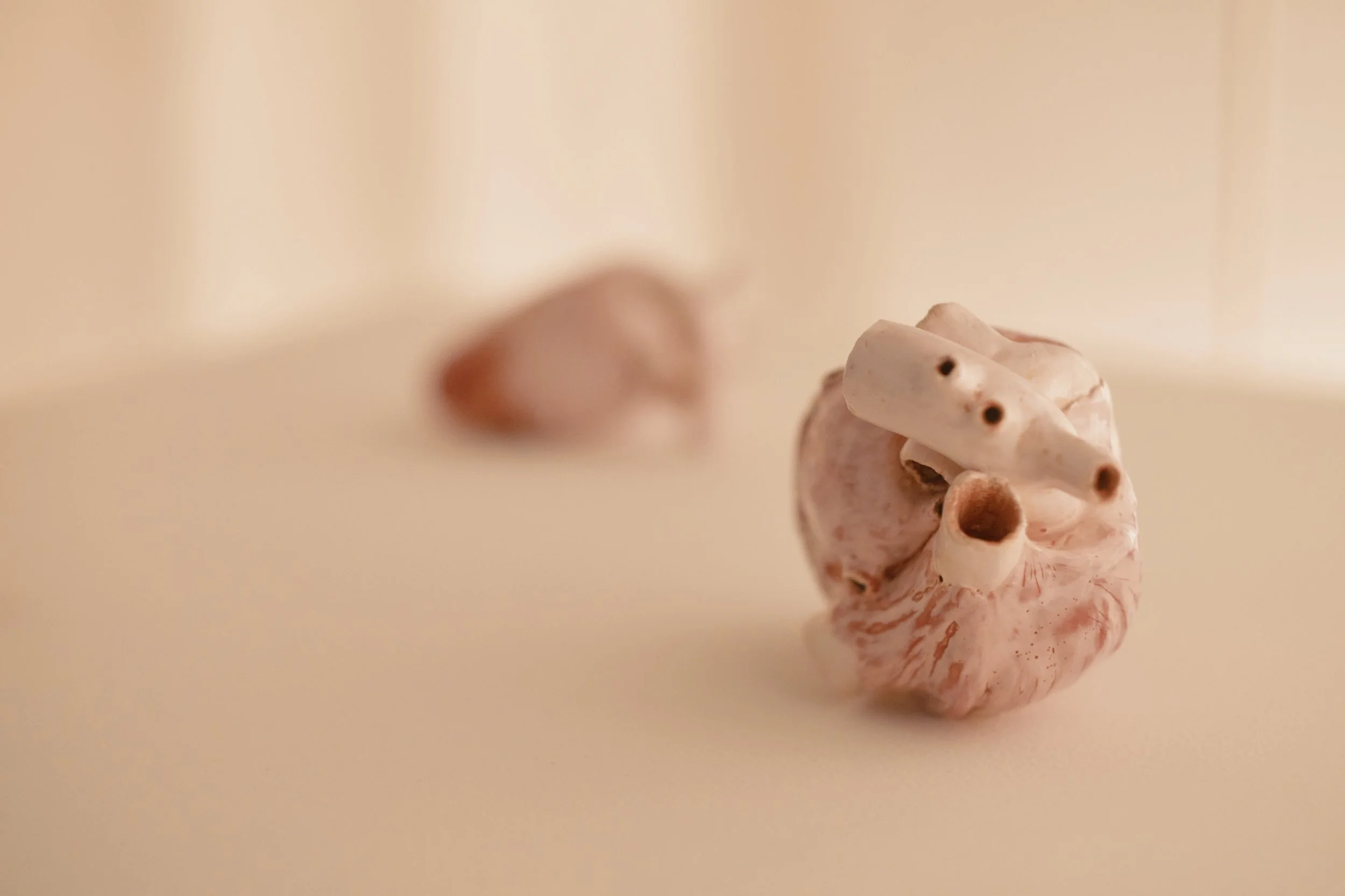 Close-up of a seashell sculpture resembling a face, with a smaller shell on top, against a plain beige background.
