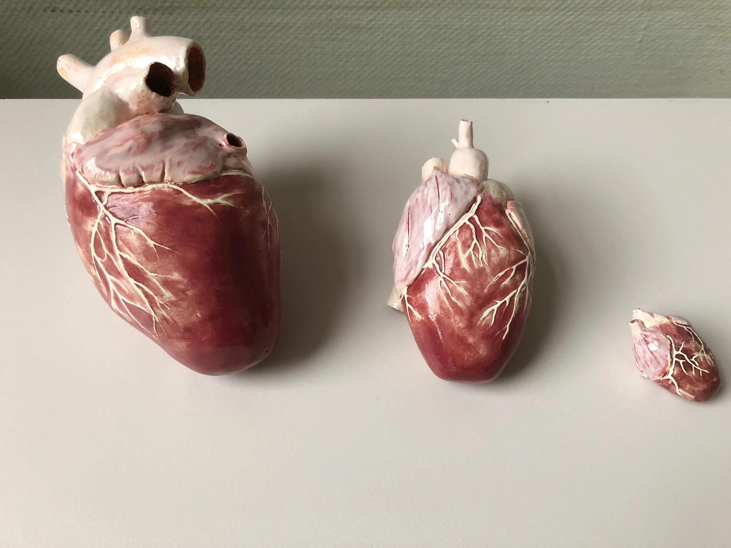 Three realistic anatomical heart models of varying sizes on a white surface against a plain background.