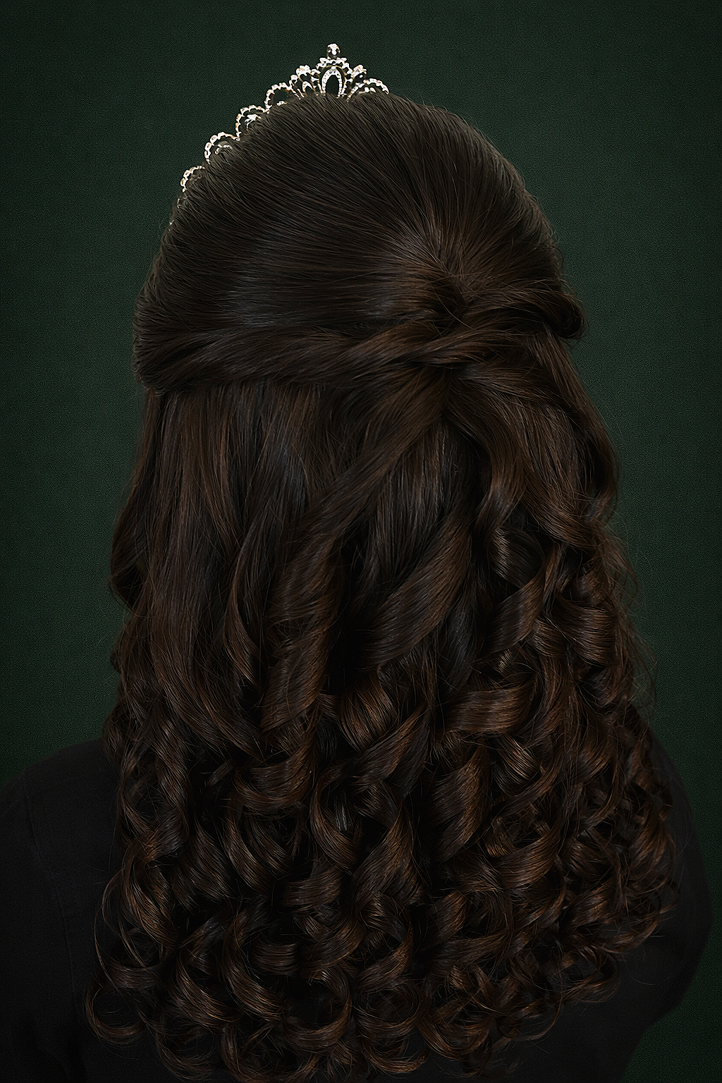 Formal Occasion Updo