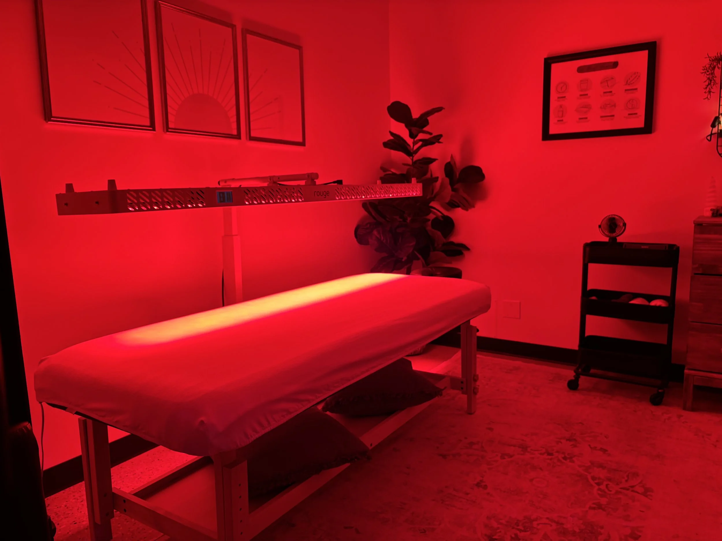 Does Red light Therapy actually work?