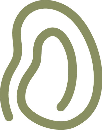 A green and black snake coiled in a circular pattern.