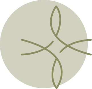 A large, round, khaki-colored object resembling a balloon or inflated item with small protrusions on its side.