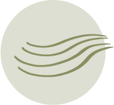 A solid olive green circle with a jagged outline on a white background.