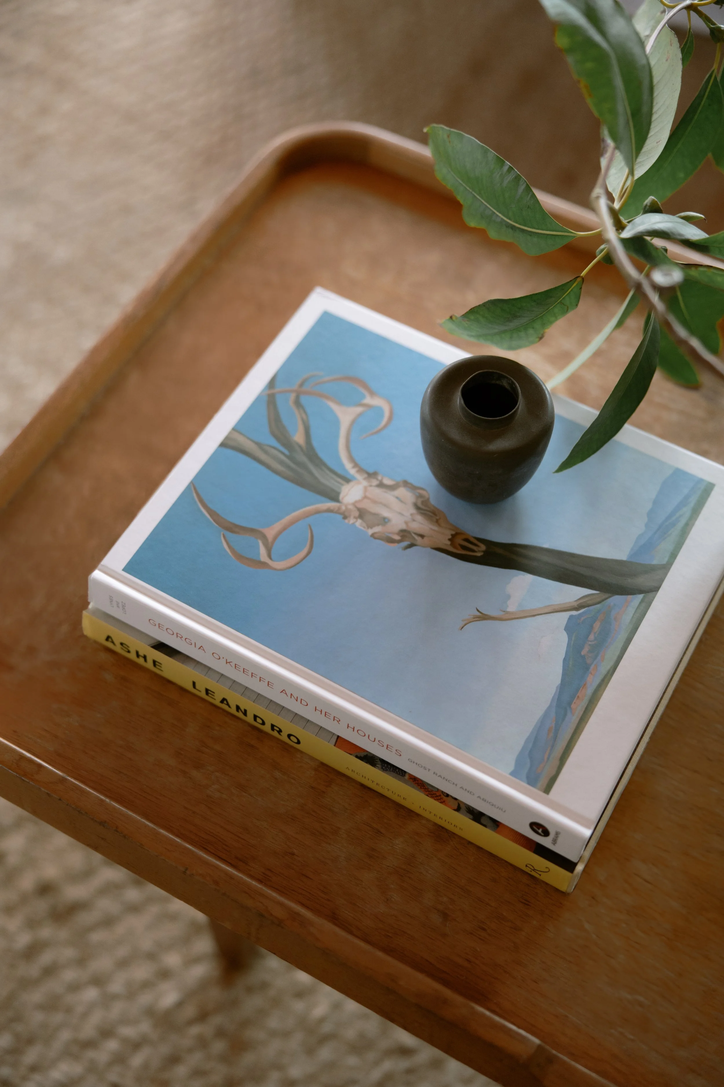 A wooden table with a stack of two art books, a small black vase, and green leaves from a plant.
