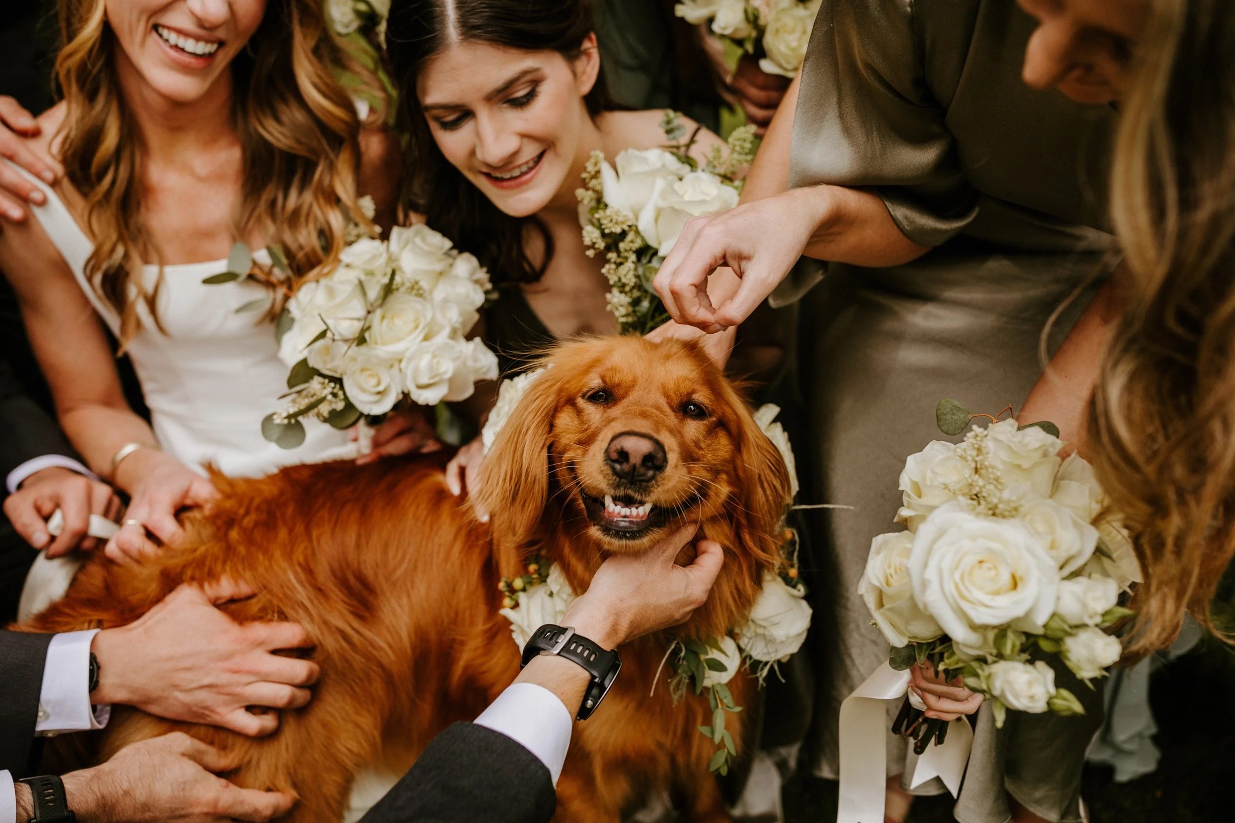 Bride and wedding party petting a golden retriever during wedding portraits in Bend, Oregon — Photo by Victoria Carlson Photography