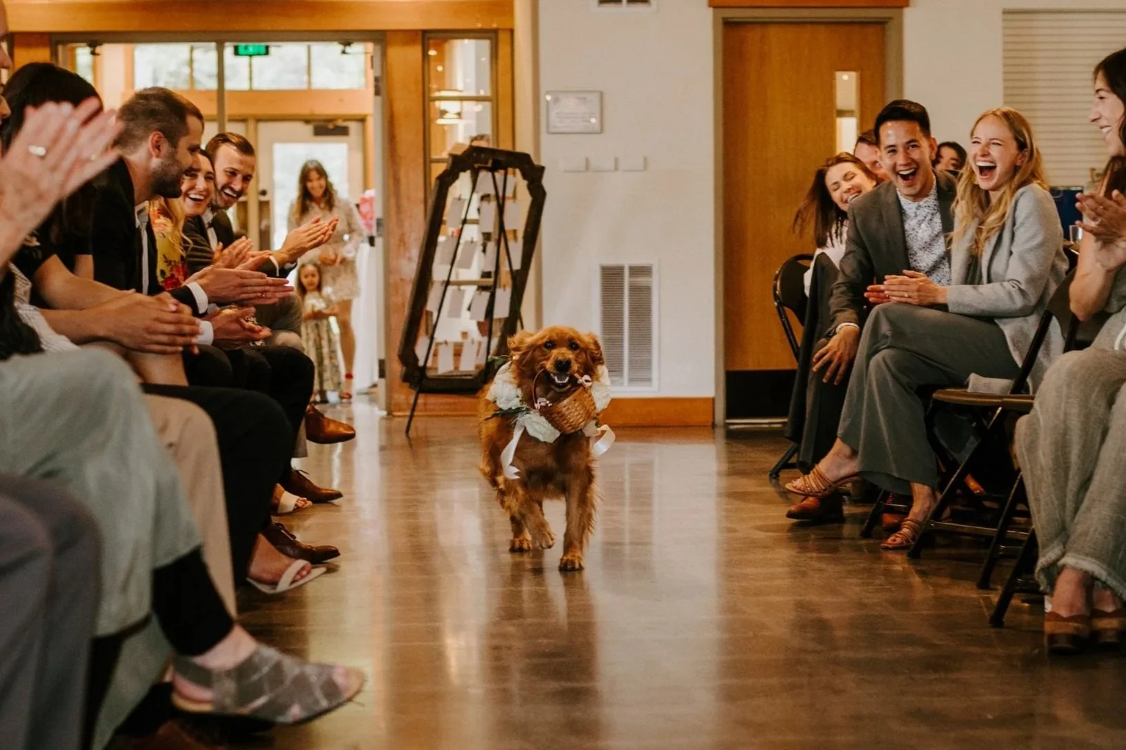 Dog walking down the aisle during a wedding ceremony in Bend, Oregon with Bark & Bridal Co. — Photo by Victoria Carlson Photography