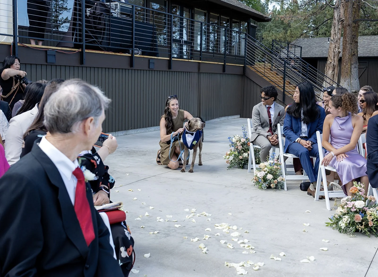 Archer the ring bearer getting ready to walk down the wedding aisle with assistance from a professional wedding dog handler.
