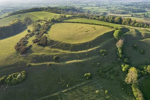 Bulbarrow Hill.jpg