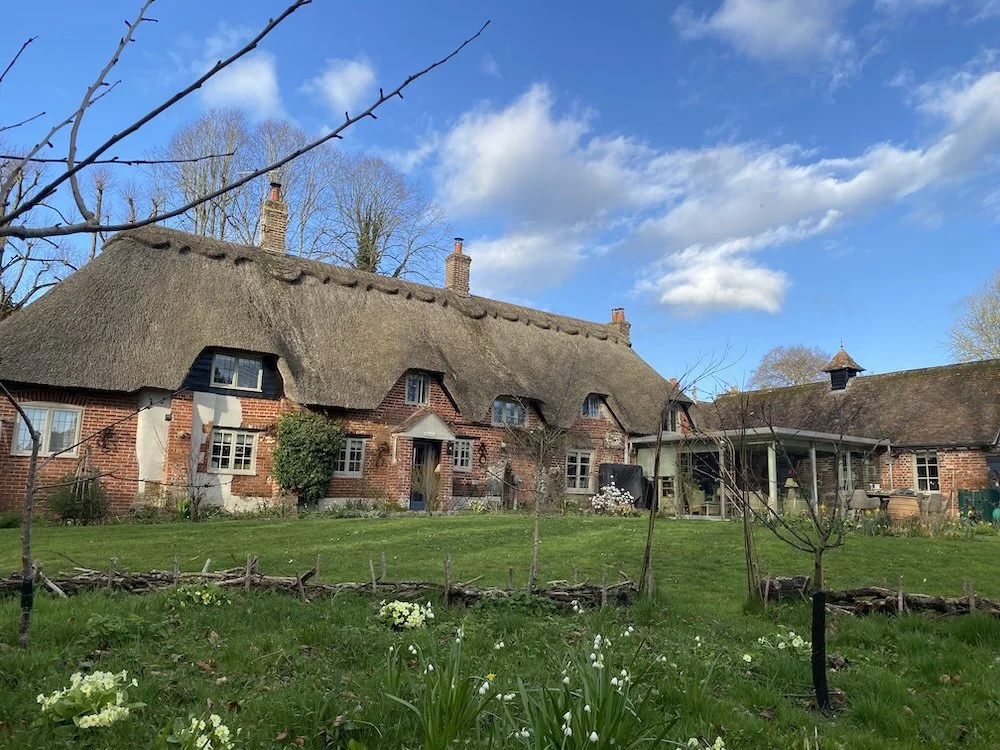 Rose House and garden in spring