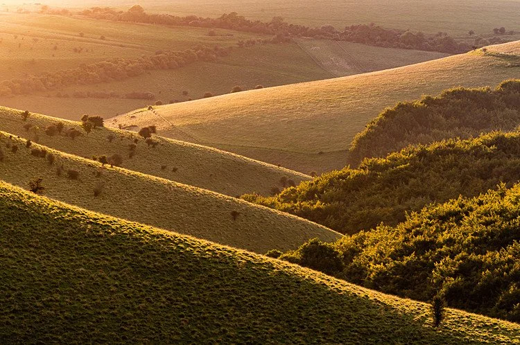 Melbury Vale.jpg