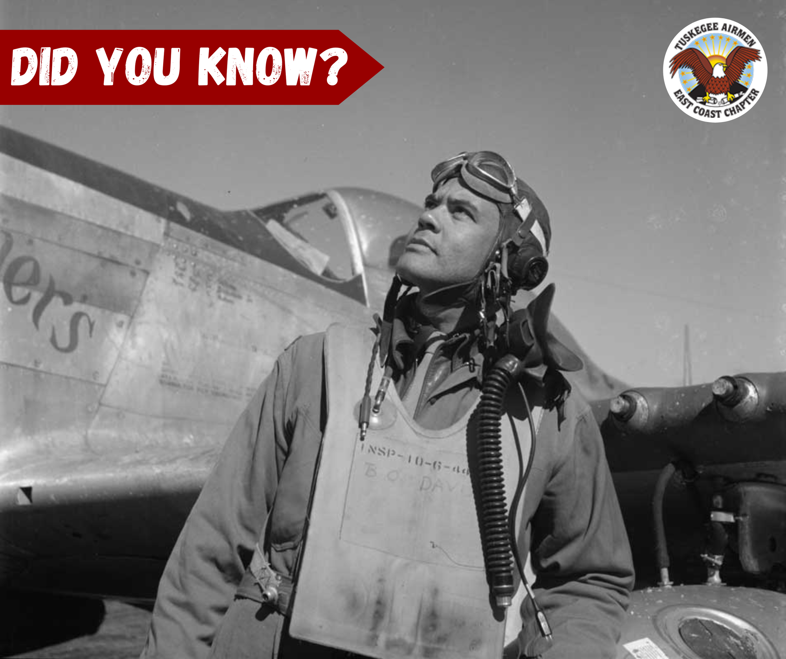 Didyouknow3.png