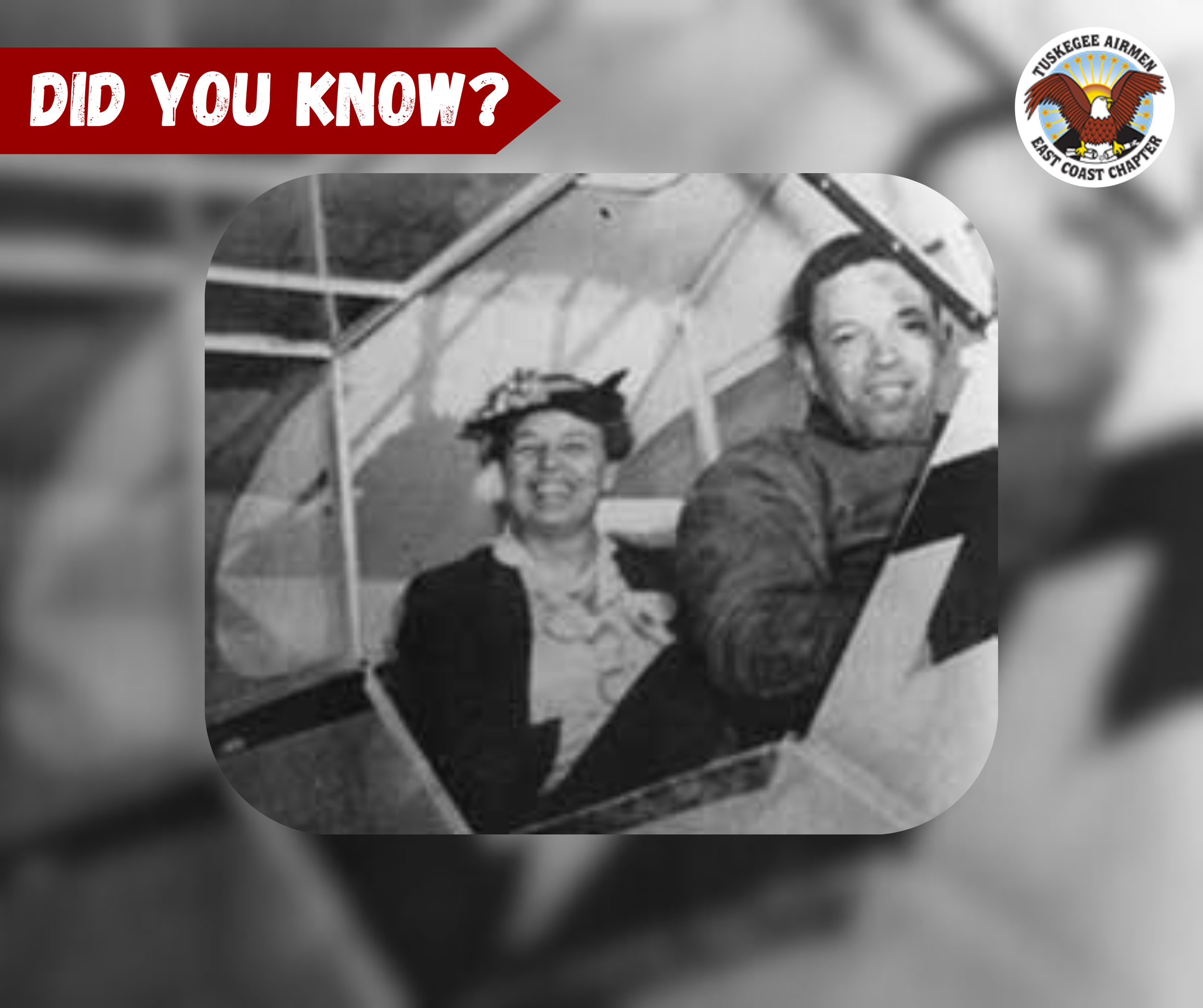 did you know - 4.png