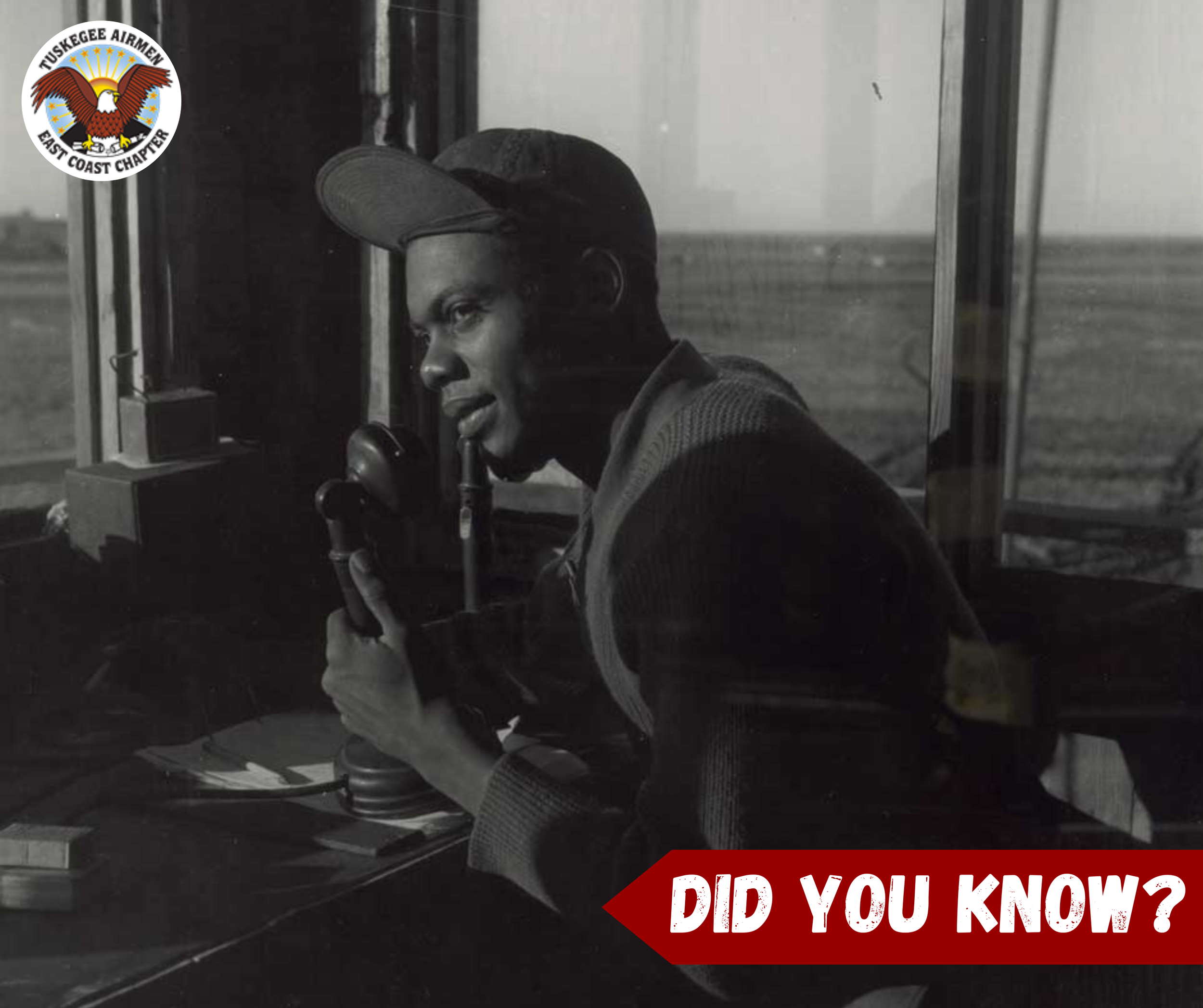 Did you know 6 (1).png