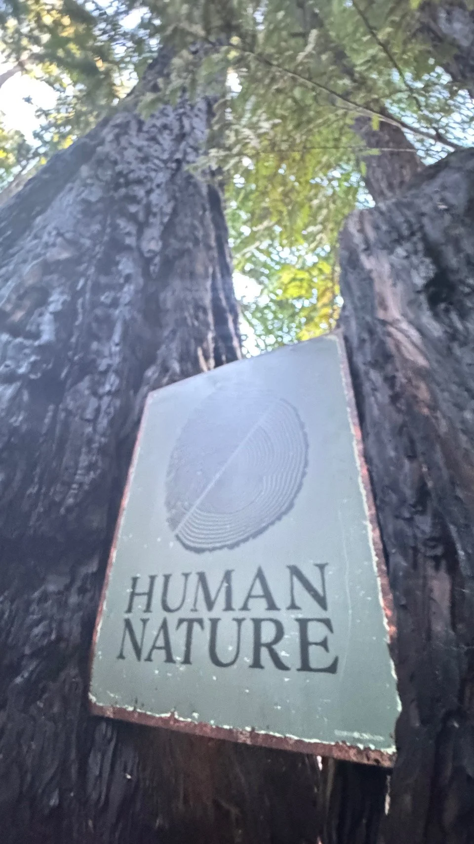 A sign with the words 'HUMAN NATURE' hanging on the trunk of a tree in a forested area, with sunlight filtering through the leaves.