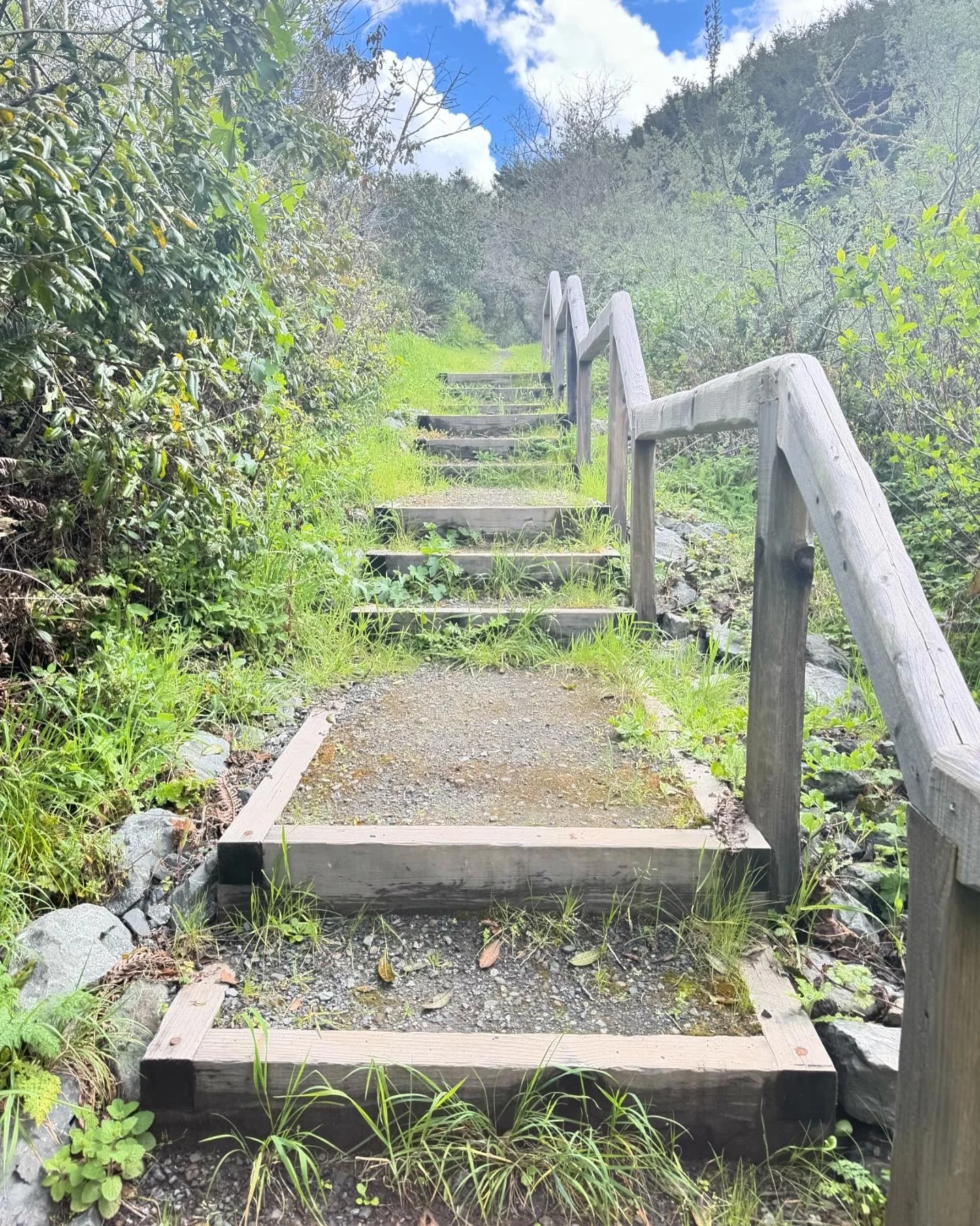 Outdoor wooden staircase with a handrail leading uphill through a lush green natural setting with bushes and trees, under a partly cloudy sky.
