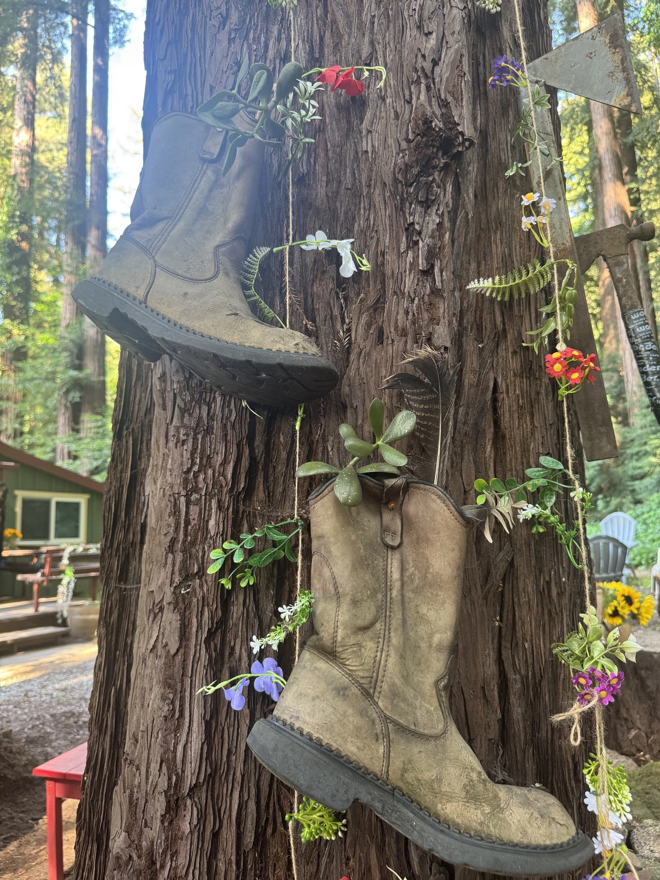 A brown worn work boot hanging on a tree trunk, surrounded by various colorful flowers and green plants, in an outdoor setting with trees and a small red table visible in the background.
