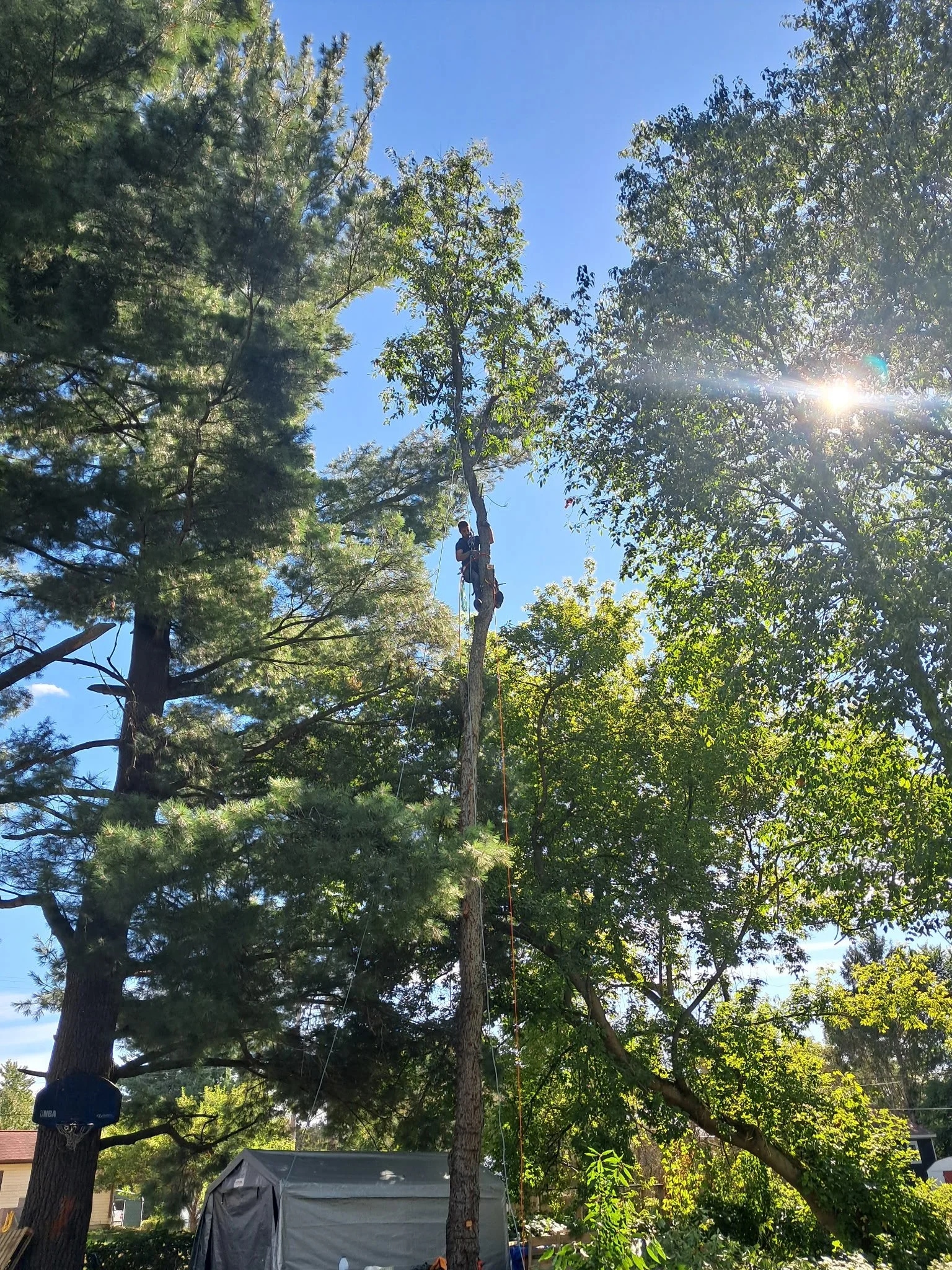 Ready to take the top out.