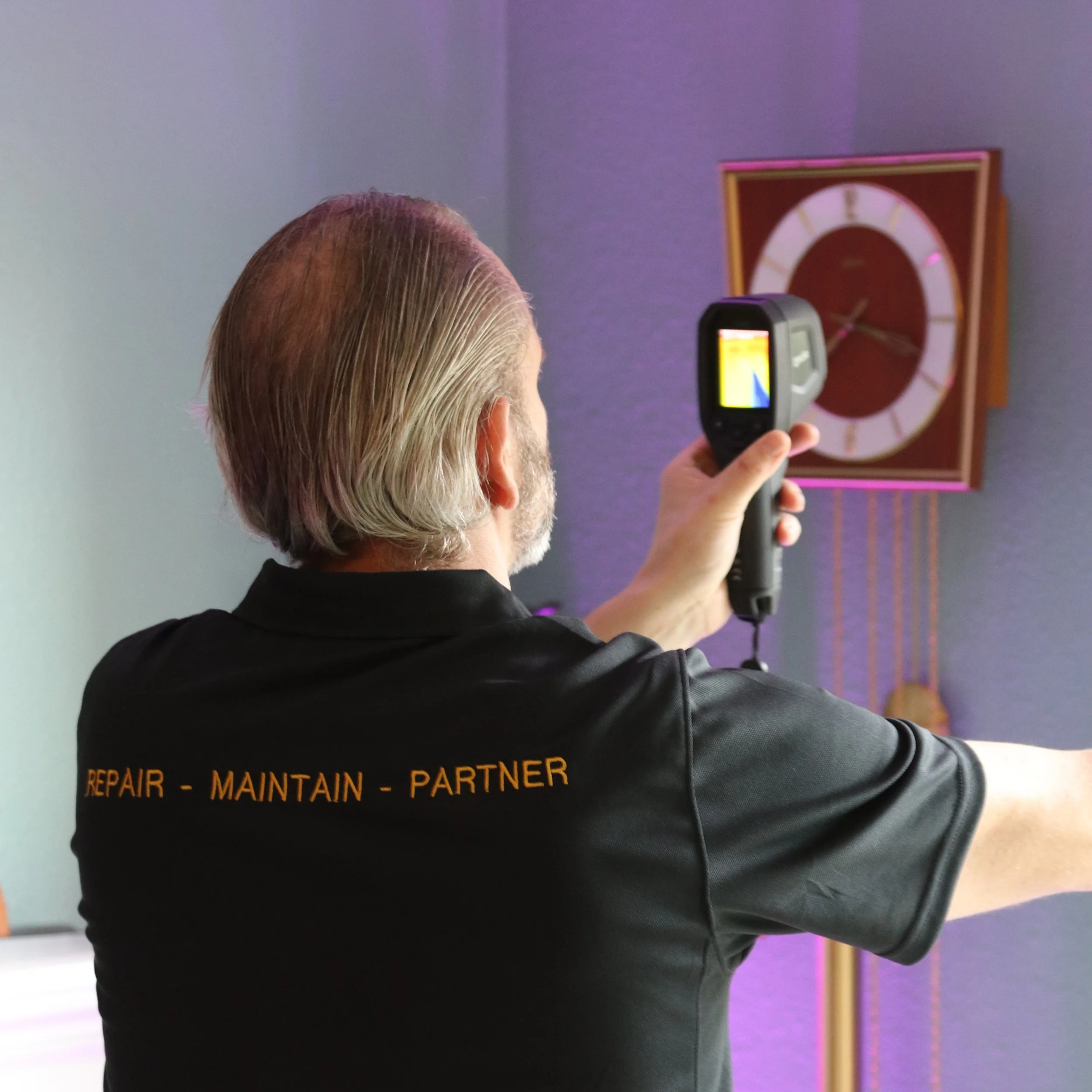 home maintenance Queen Anne