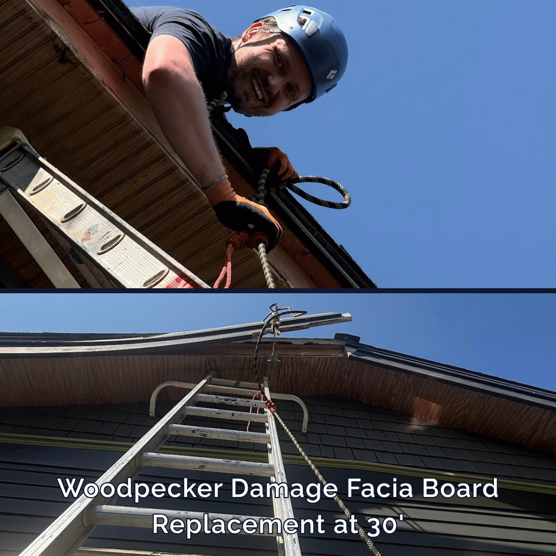 Magnolia Facia Board Roof repair.png