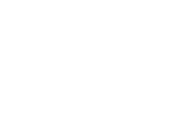 Wired Up TBI Foundation