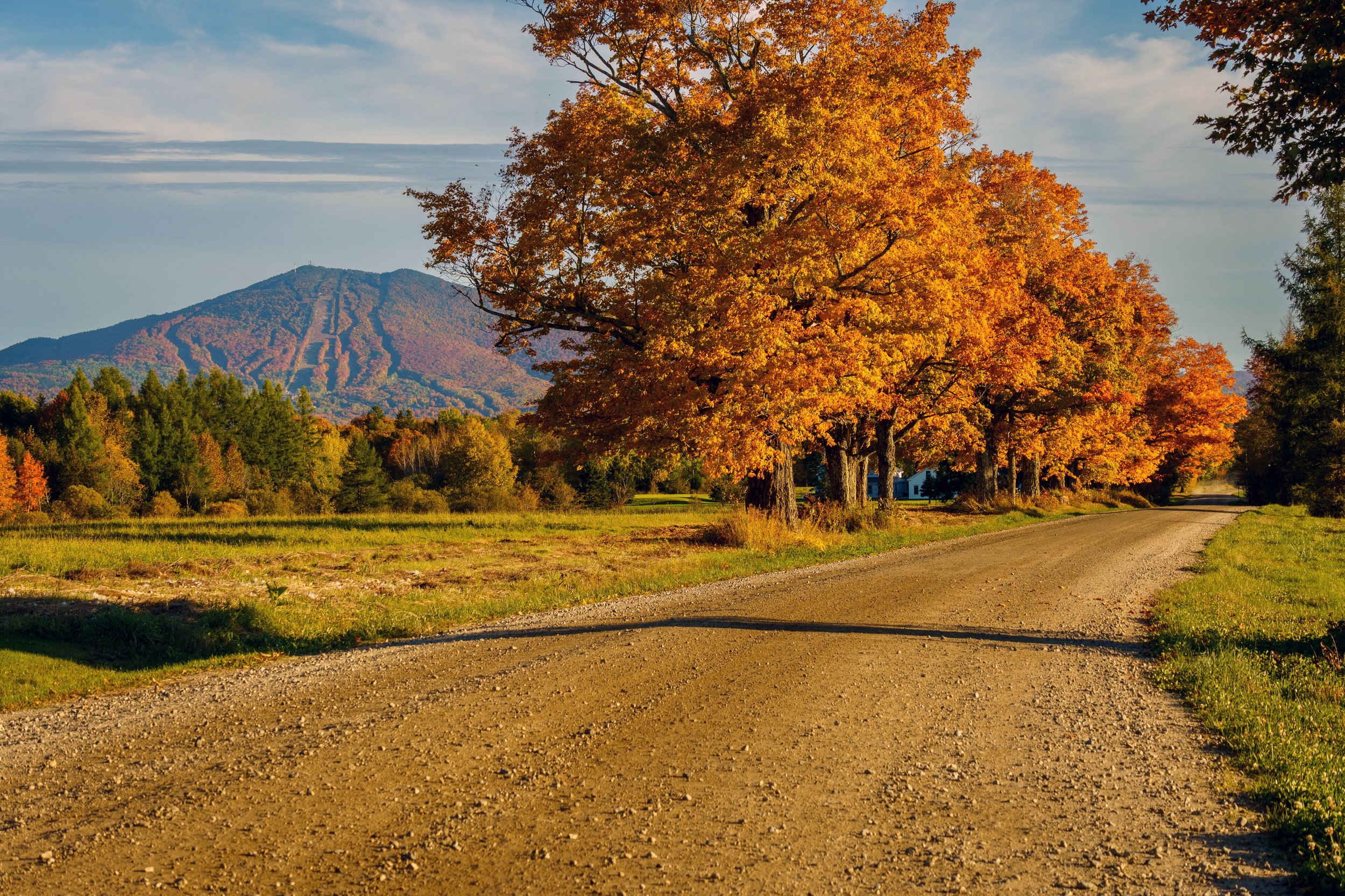 An autumn landscape with a dirt road, colorful orange and yellow trees, a mountain in the background, and a partly cloudy sky.