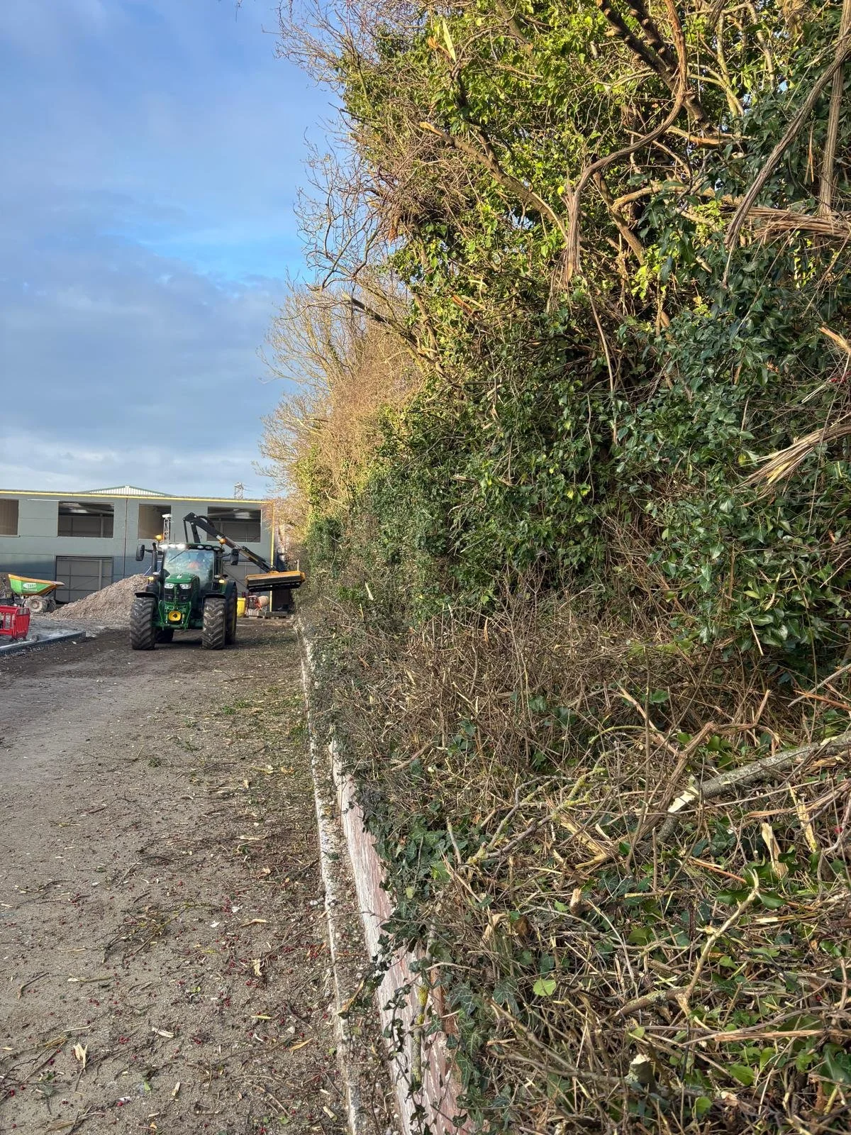 PHOTO-2026-03-24-14-15-33 (21).jpg