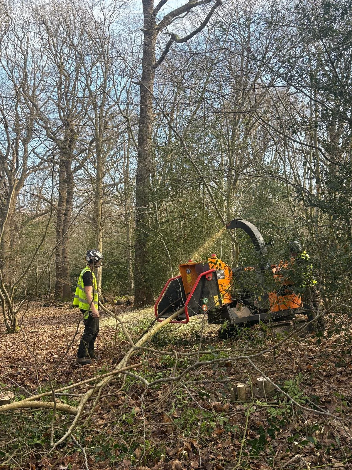 PHOTO-2026-03-24-14-14-41 (4).jpg