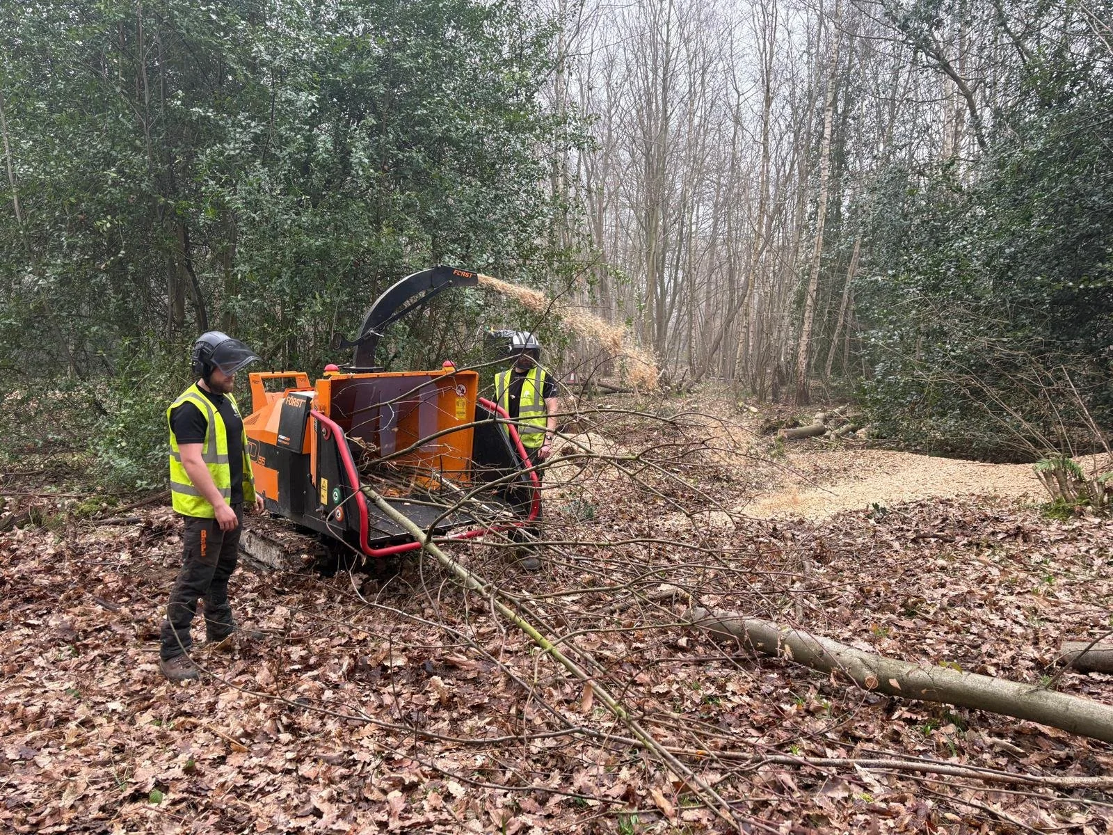 PHOTO-2026-03-24-14-14-48 (3).jpg