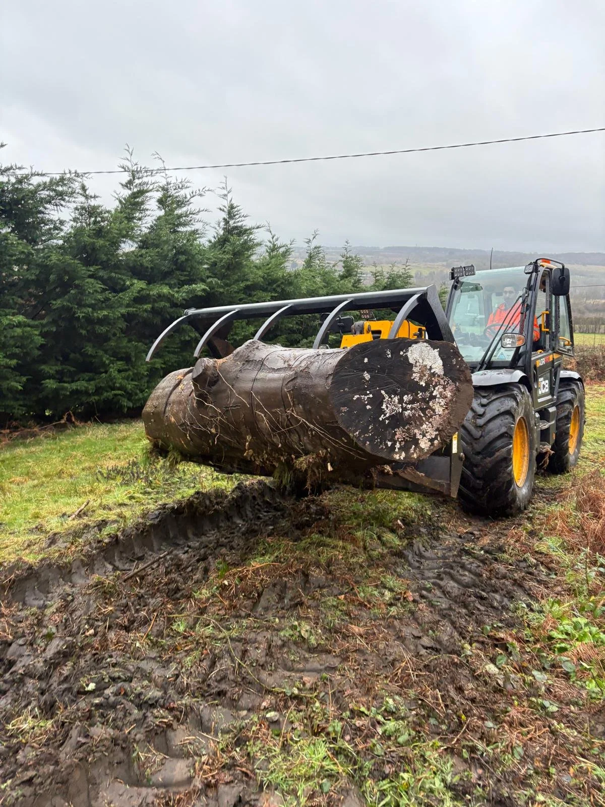 PHOTO-2026-03-24-14-15-32 (14).jpg