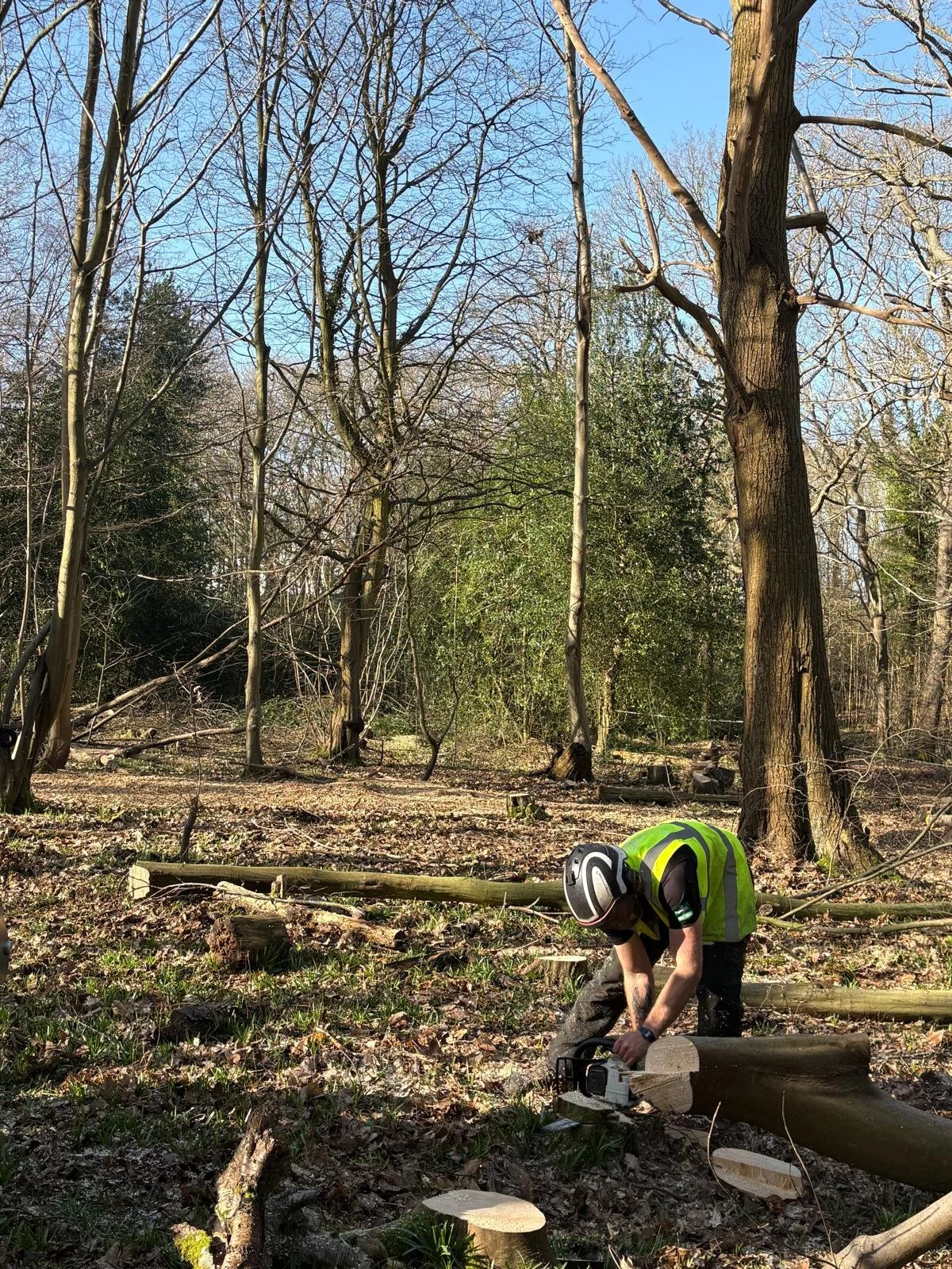 PHOTO-2026-03-24-14-14-51 (2).jpg