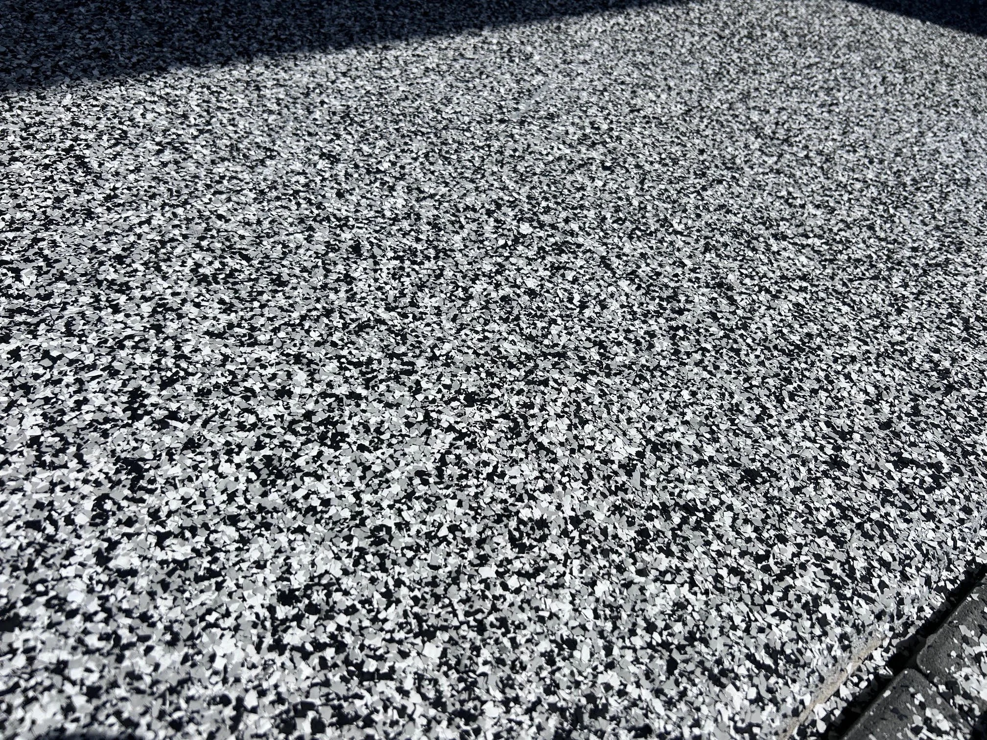b&w flake.jpg