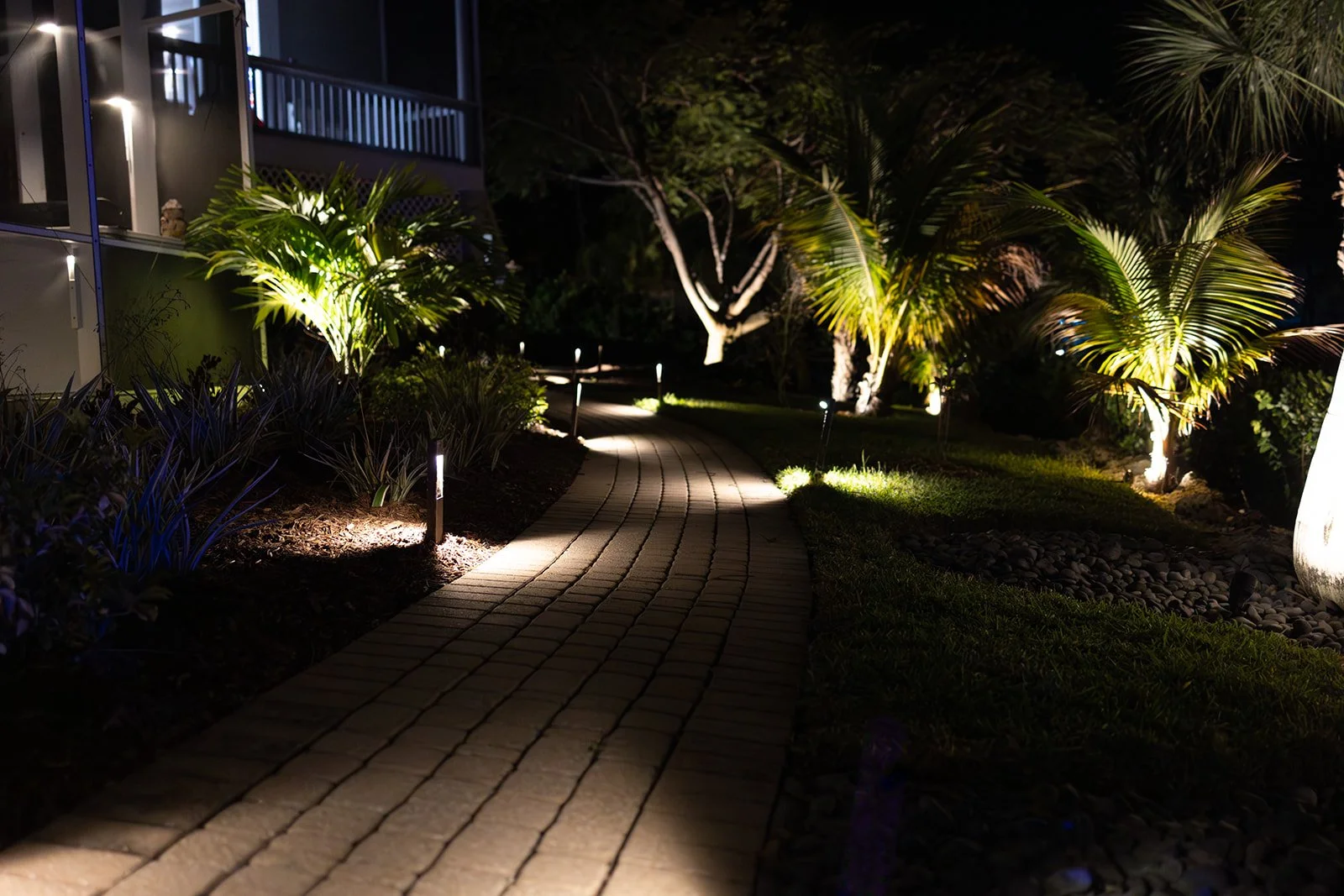 4I1A4123-Enhanced-NR_websize.jpg