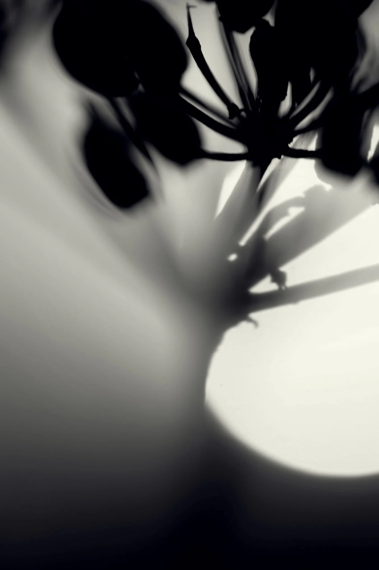What the day leaves behind
