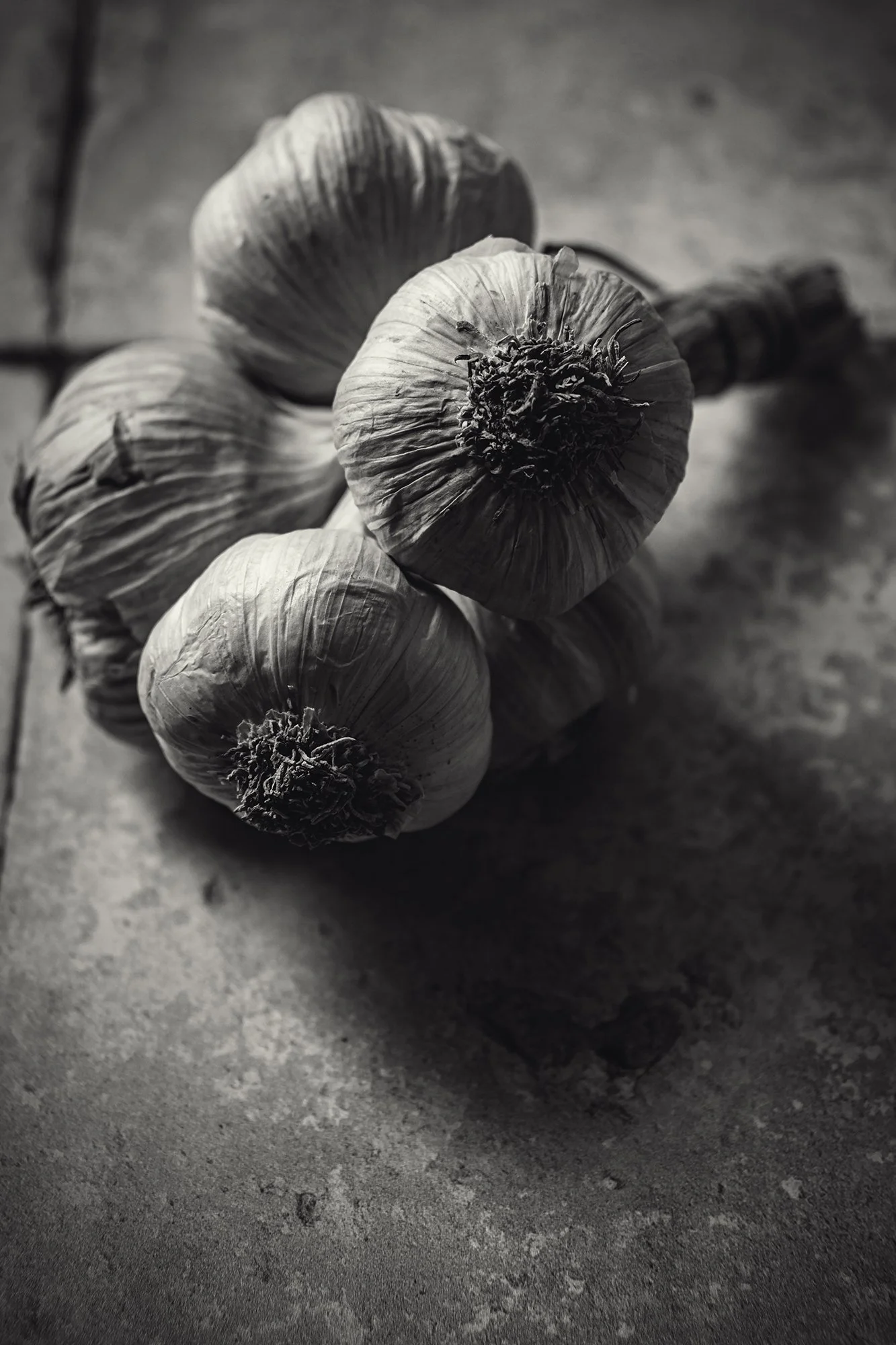 Bound Harvest