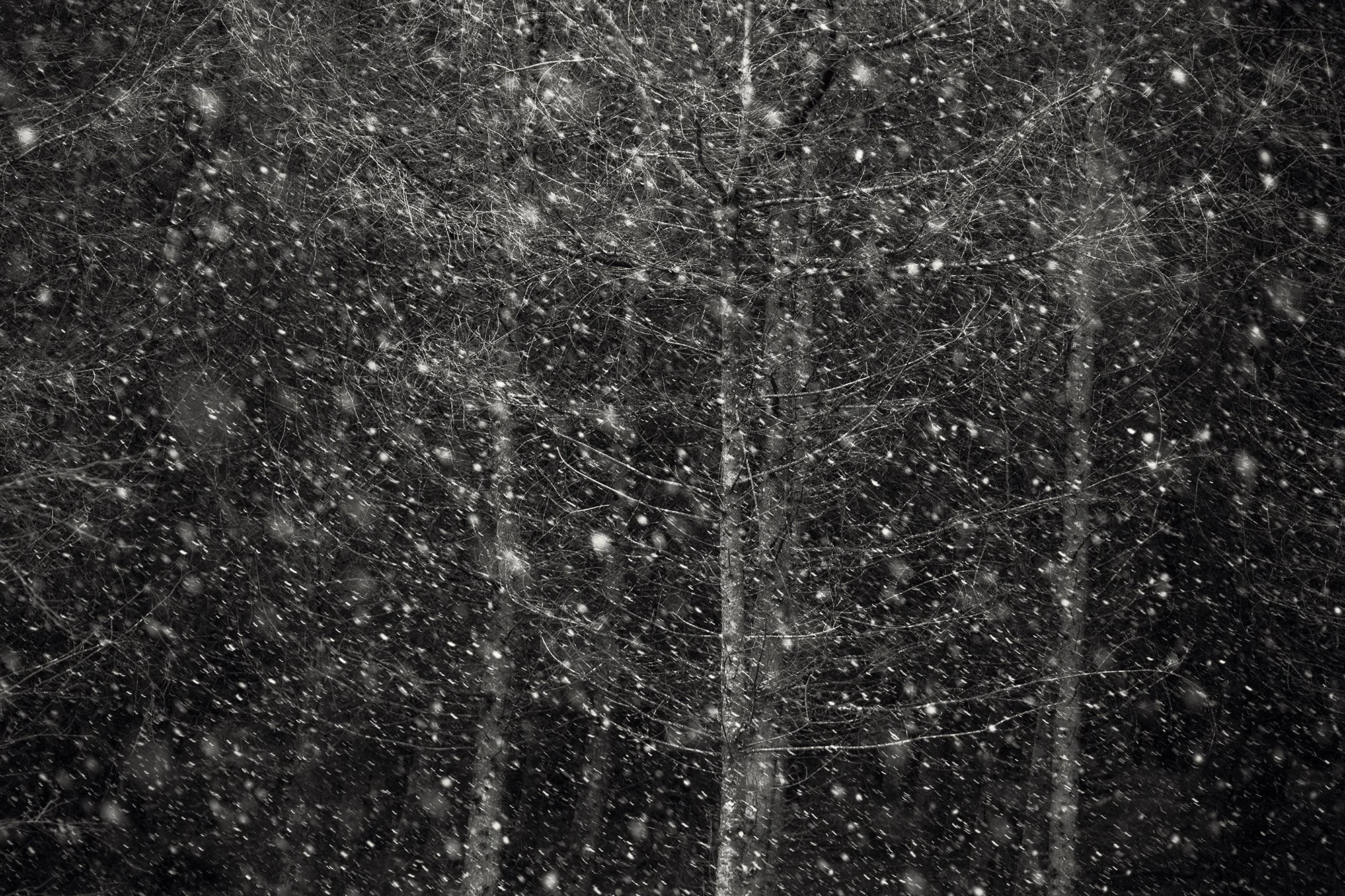 Snowfall, Bannau Brycheiniog.jpg