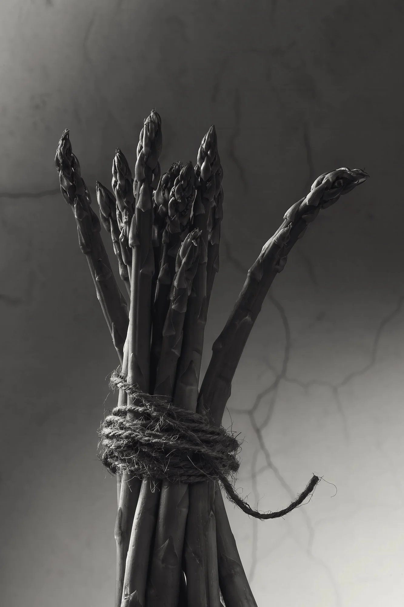 Bound Asparagus
