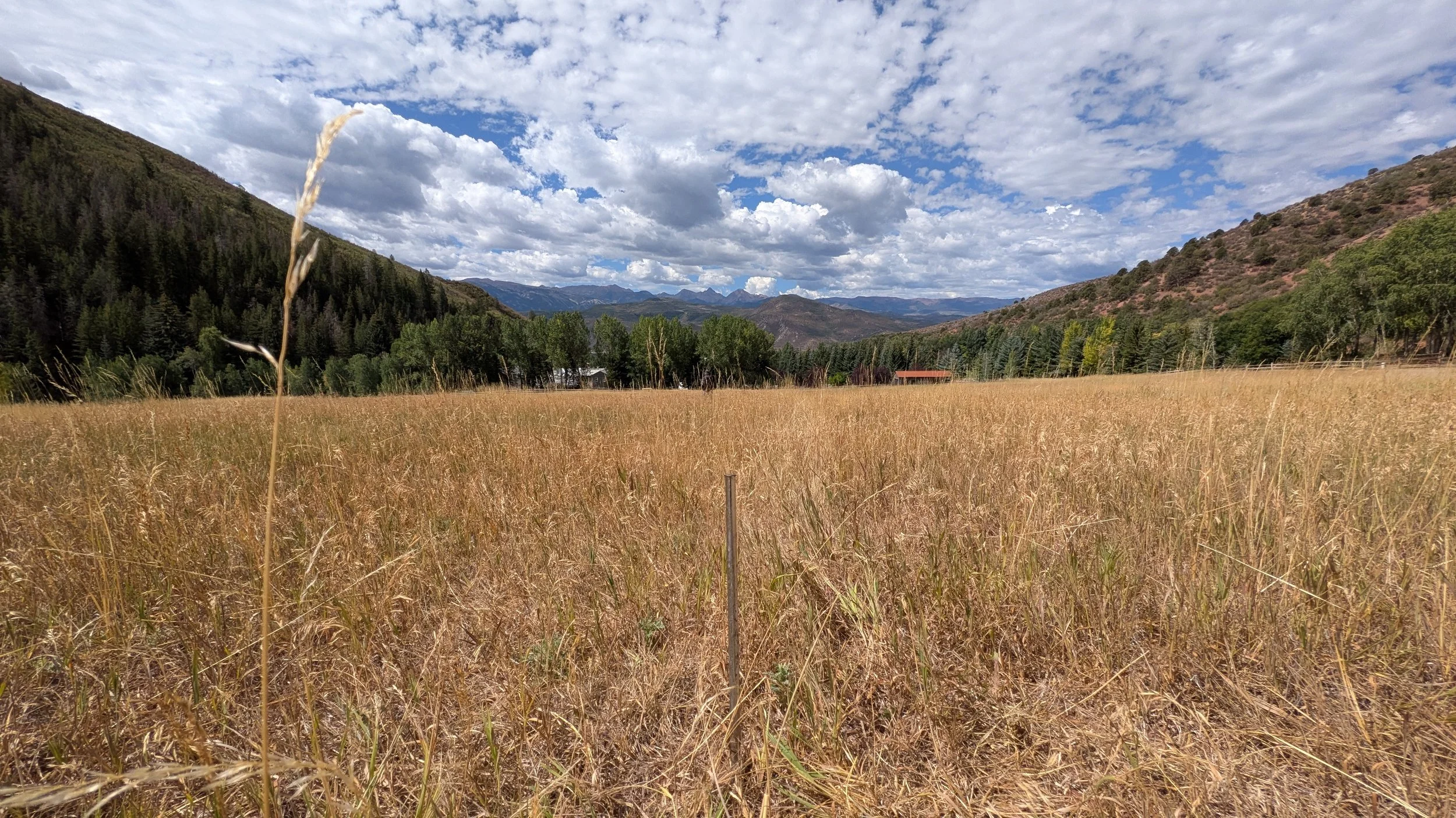 A wide view of a grassy field with mountains in the background and a partly cloudy sky overhead.