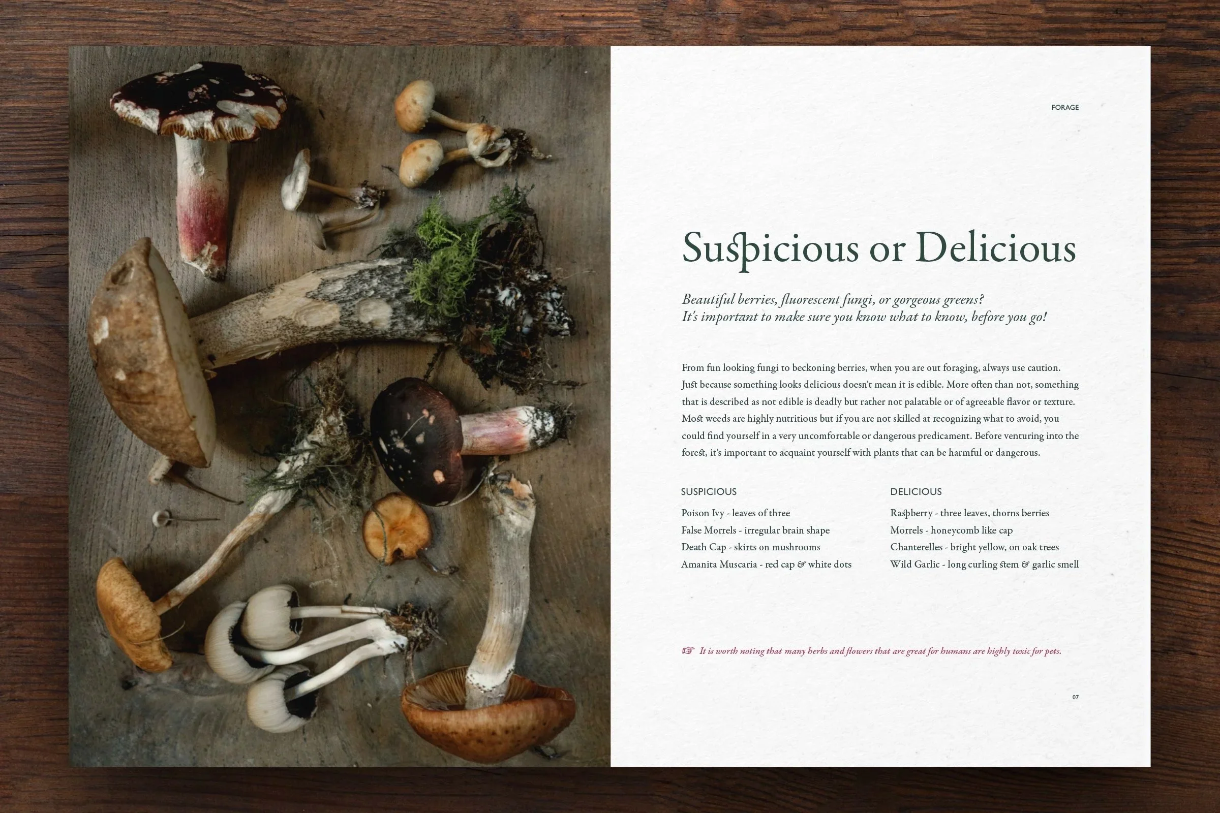 JB Design 01 FFF 07.jpg